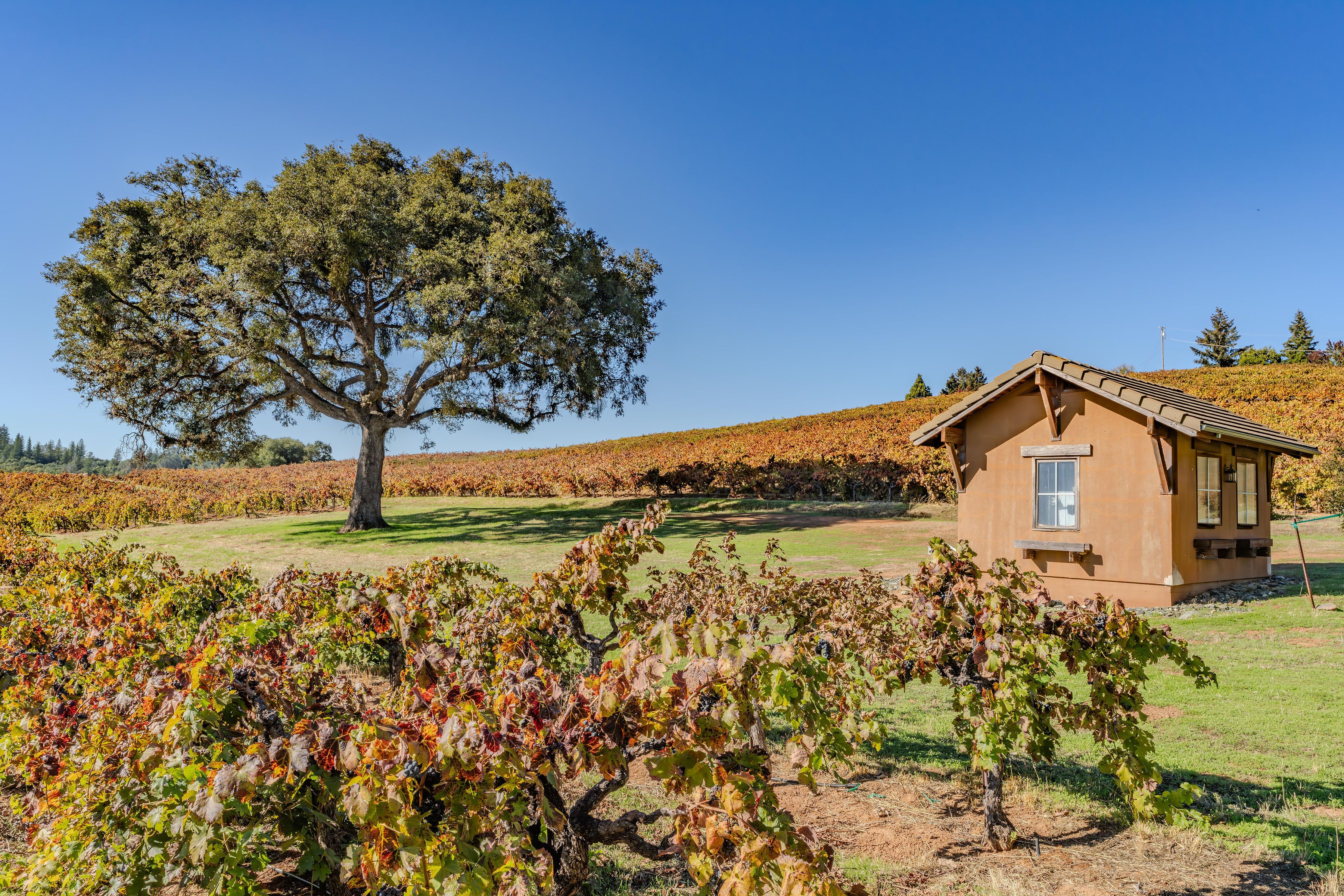  12551 Steiner Road, Plymouth, CA 95669 - 物件實景