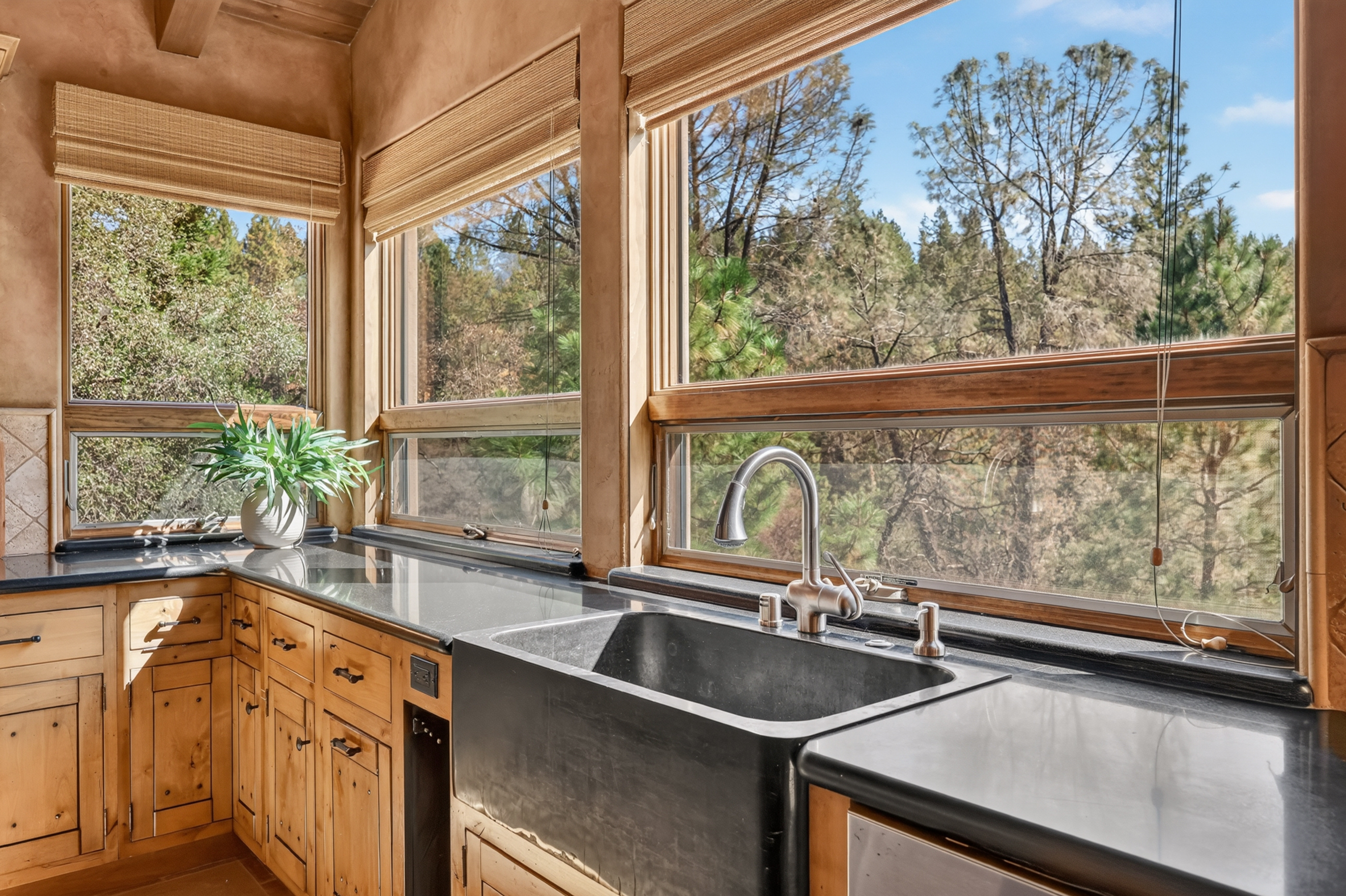  16279 Winchester Club Drive, Meadow Vista, CA 95722 - 物件實景