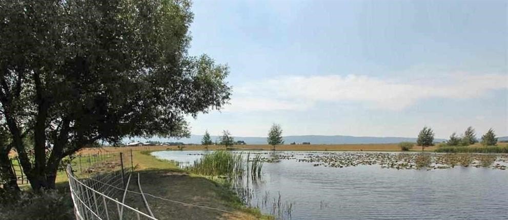 McCall, Idaho, 83638, United States, ,Land,For Sale,1978788