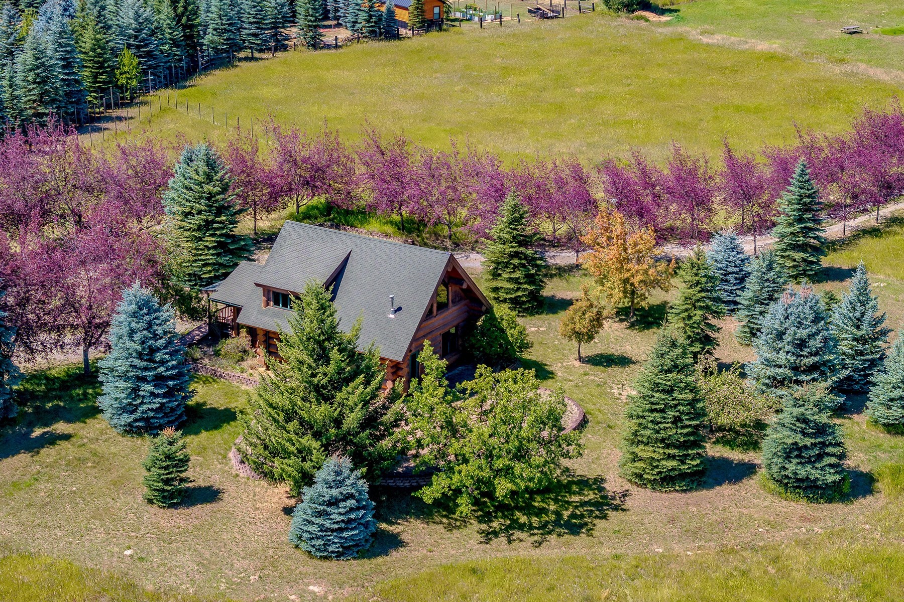  Artistic Log Home, Stunning Mountain Views - 物件實景