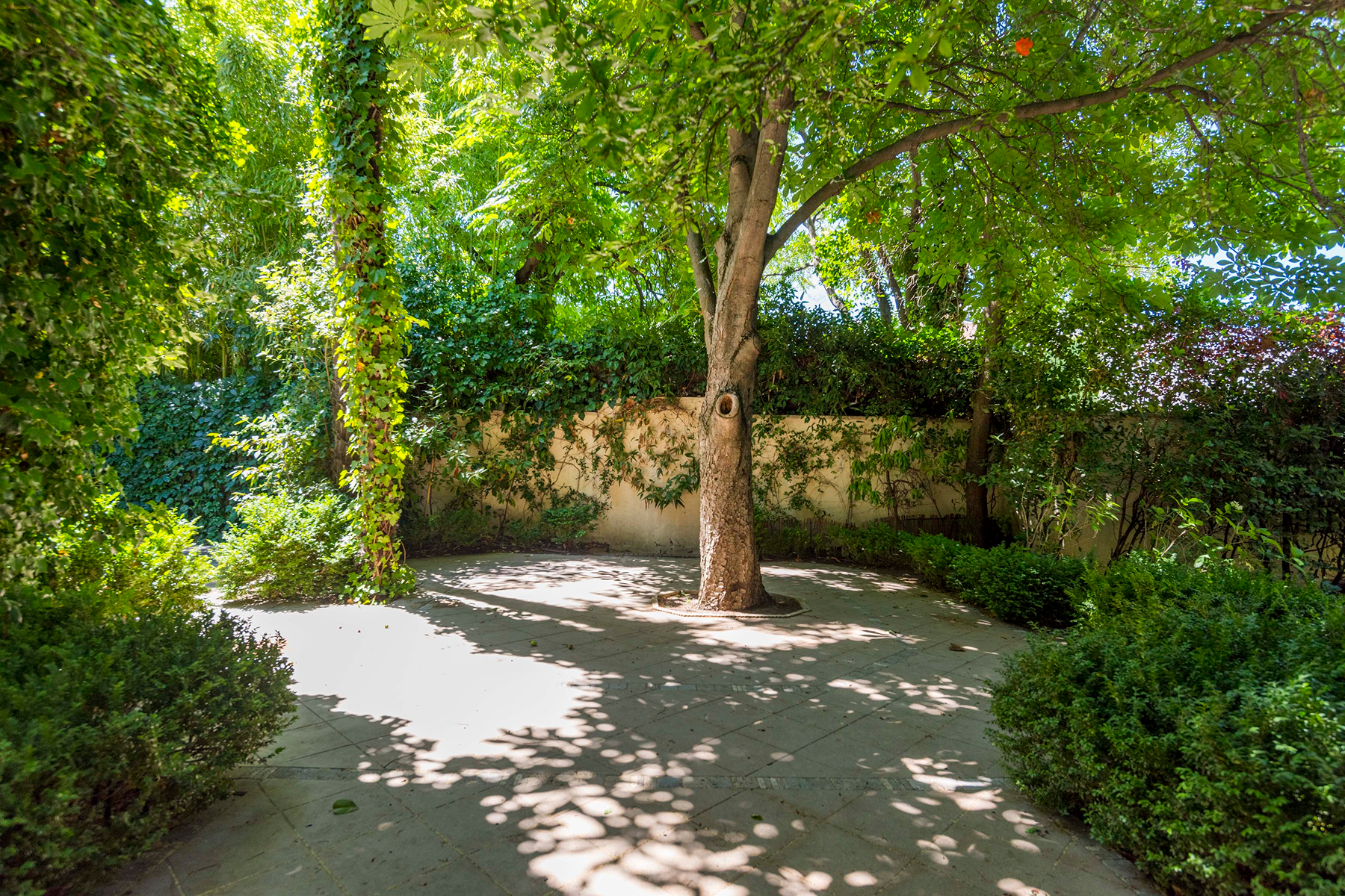  House with garden and private pool in El Viso. - 物件實景