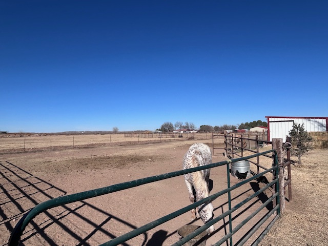 Carlsbad, New Mexico, 88220, United States, 4 Bedrooms Bedrooms, ,4 BathroomsBathrooms,Residential,For Sale,2006248