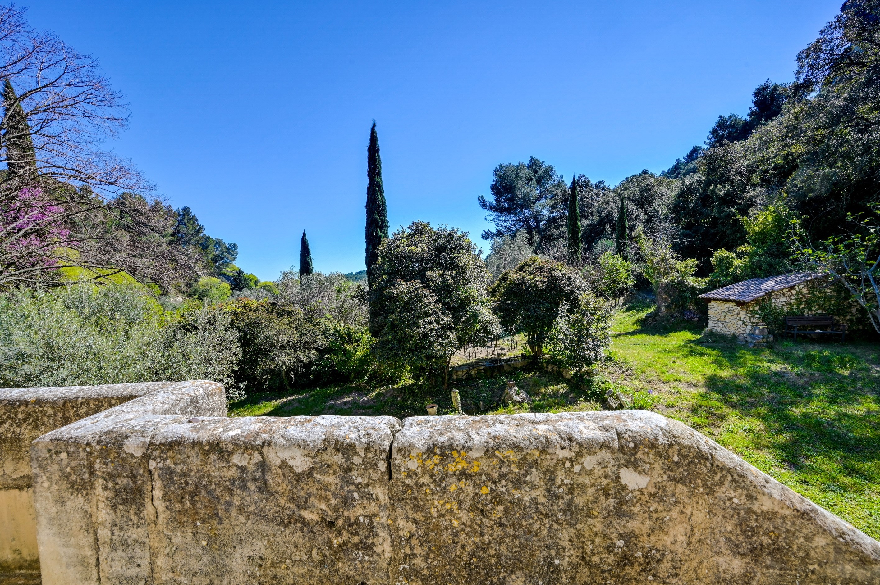  Exclusive. Authentic and charming property located in Les Baux-de-Provence - 物件實景