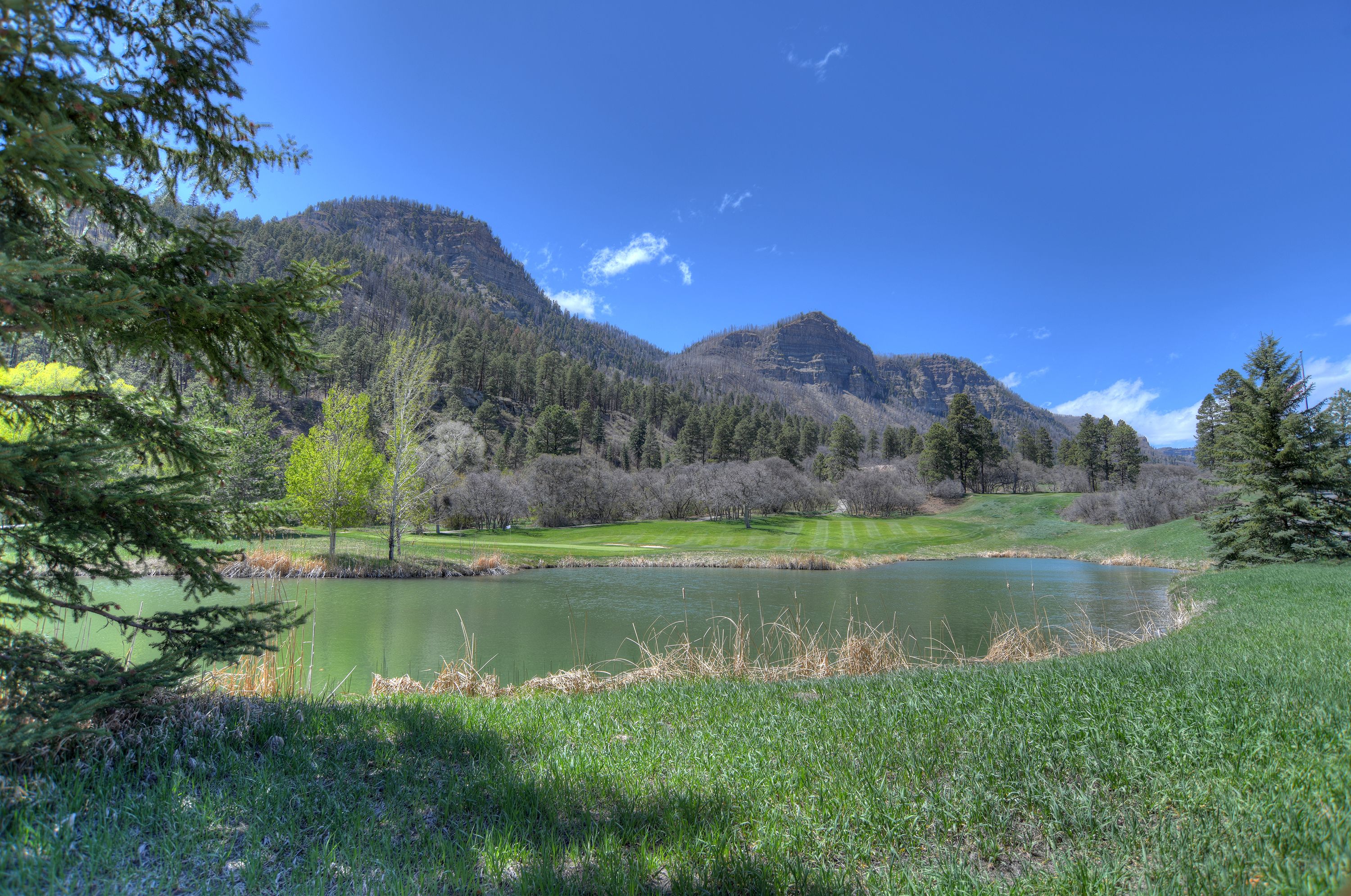  73 S Tamarron Drive #870, Durango, CO 81301 - 物件實景