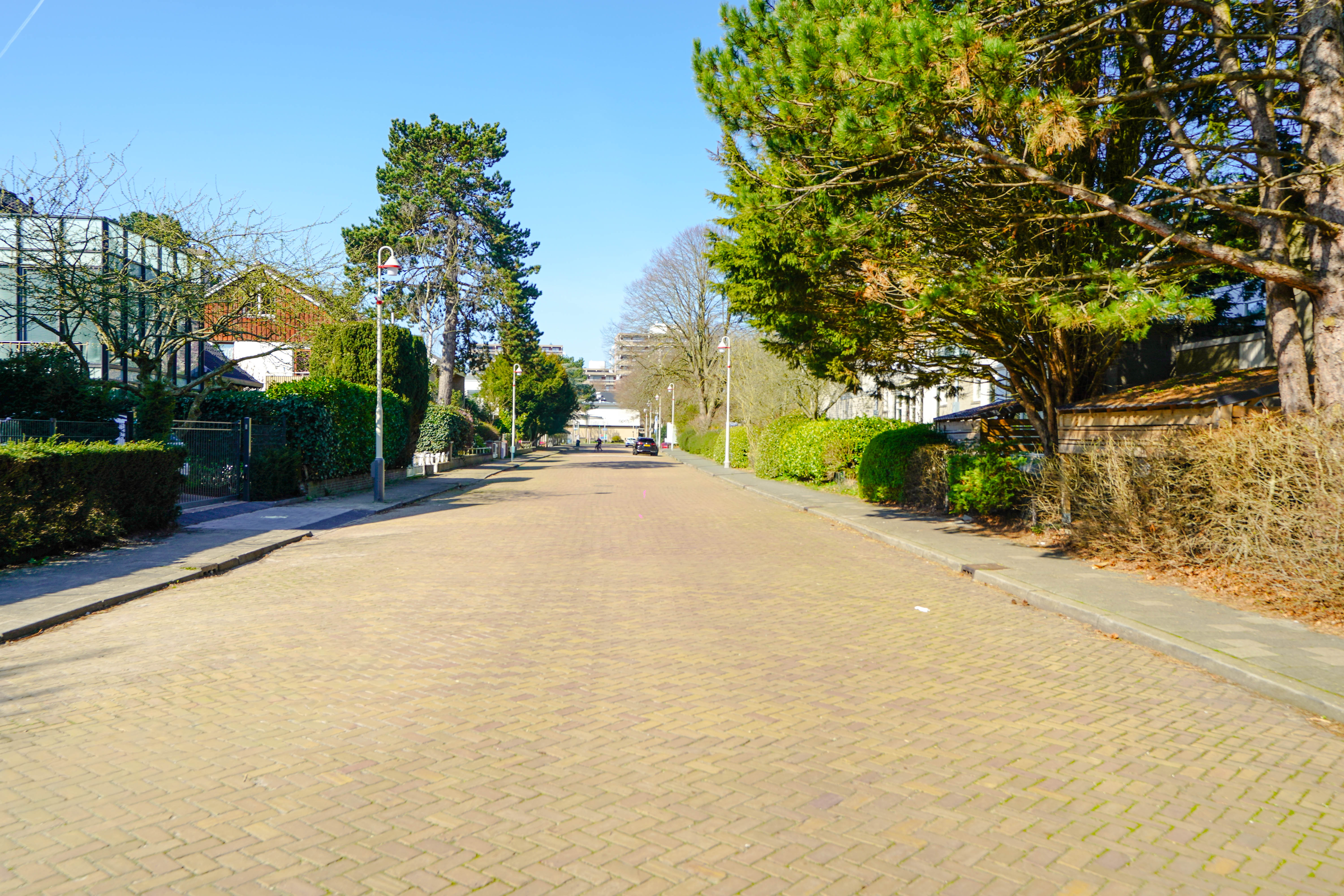  The Louis Grimberglaan Signature Family Estate in The Hague - 物件實景