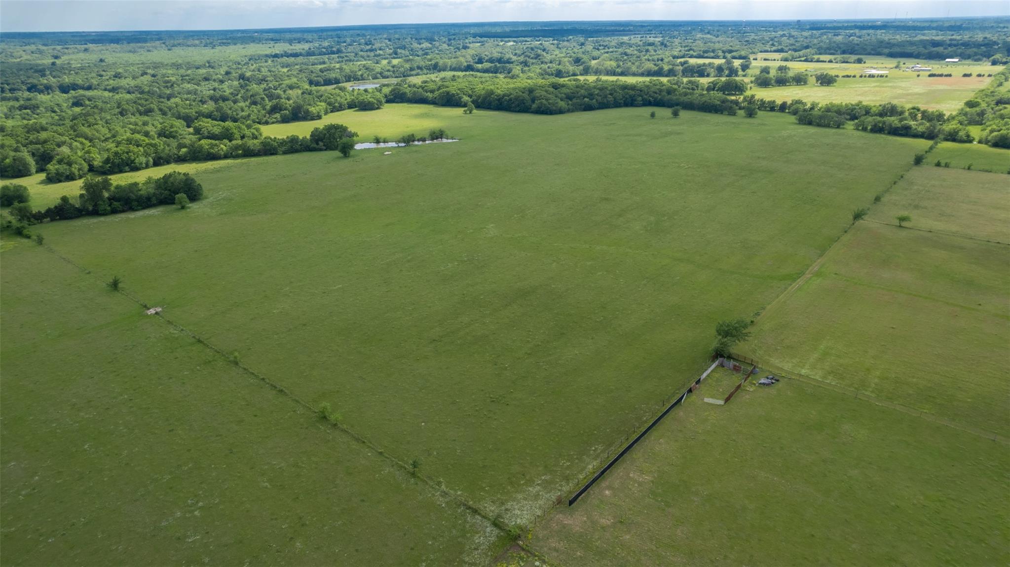 Commerce, Texas, 75428, United States, ,Residential,For Sale,1810631