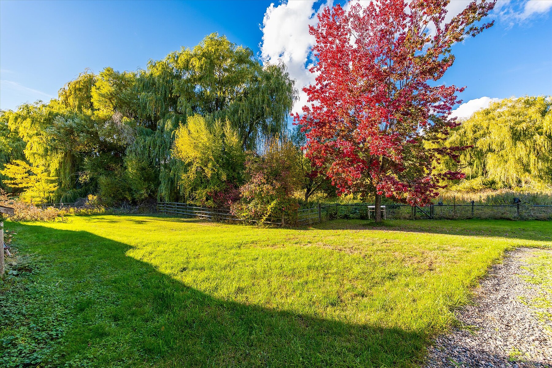  Welcome to Springfield Marsh - 物件實景