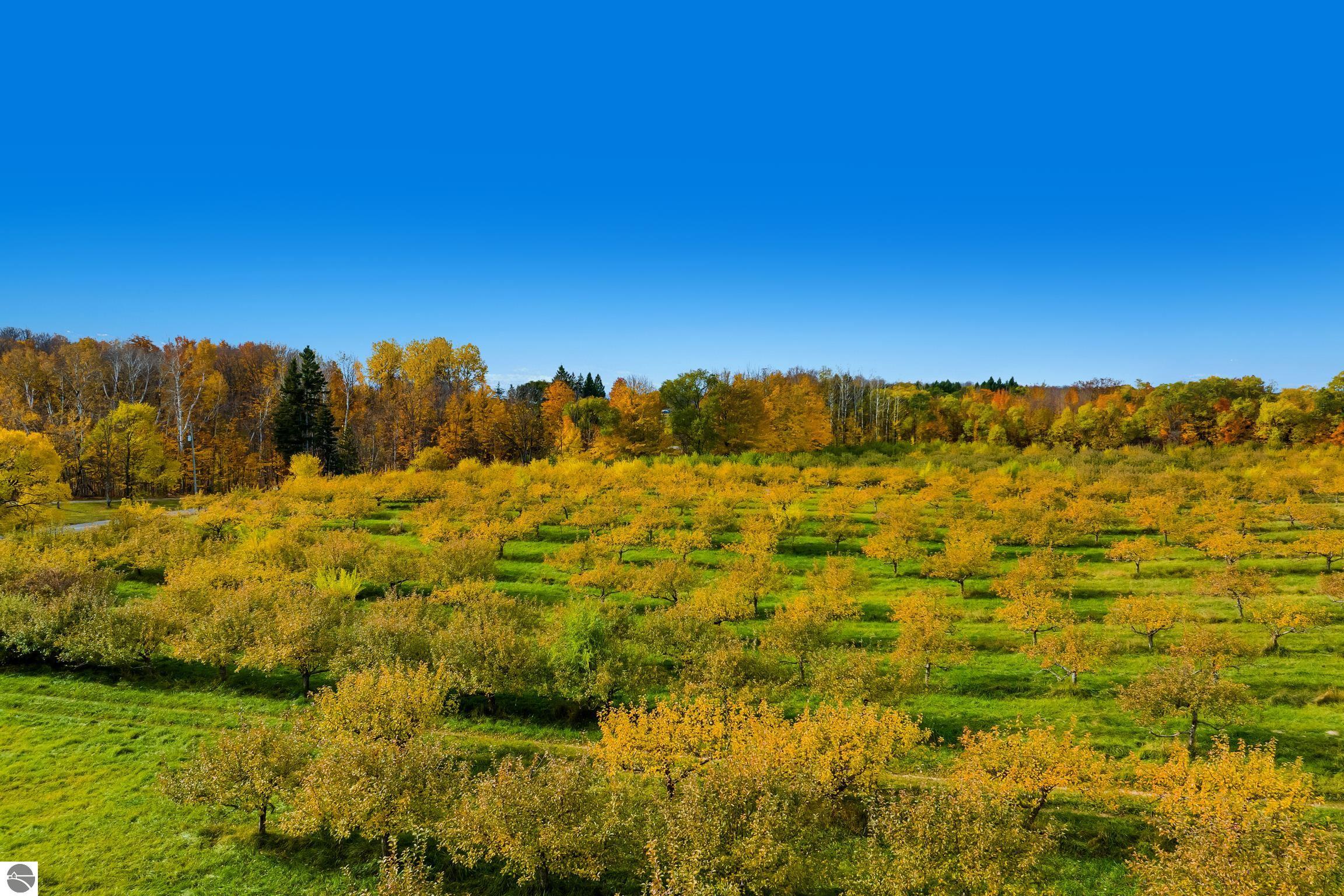 Suttons Bay, Michigan, 49682, United States, ,Land,For Sale,1990324