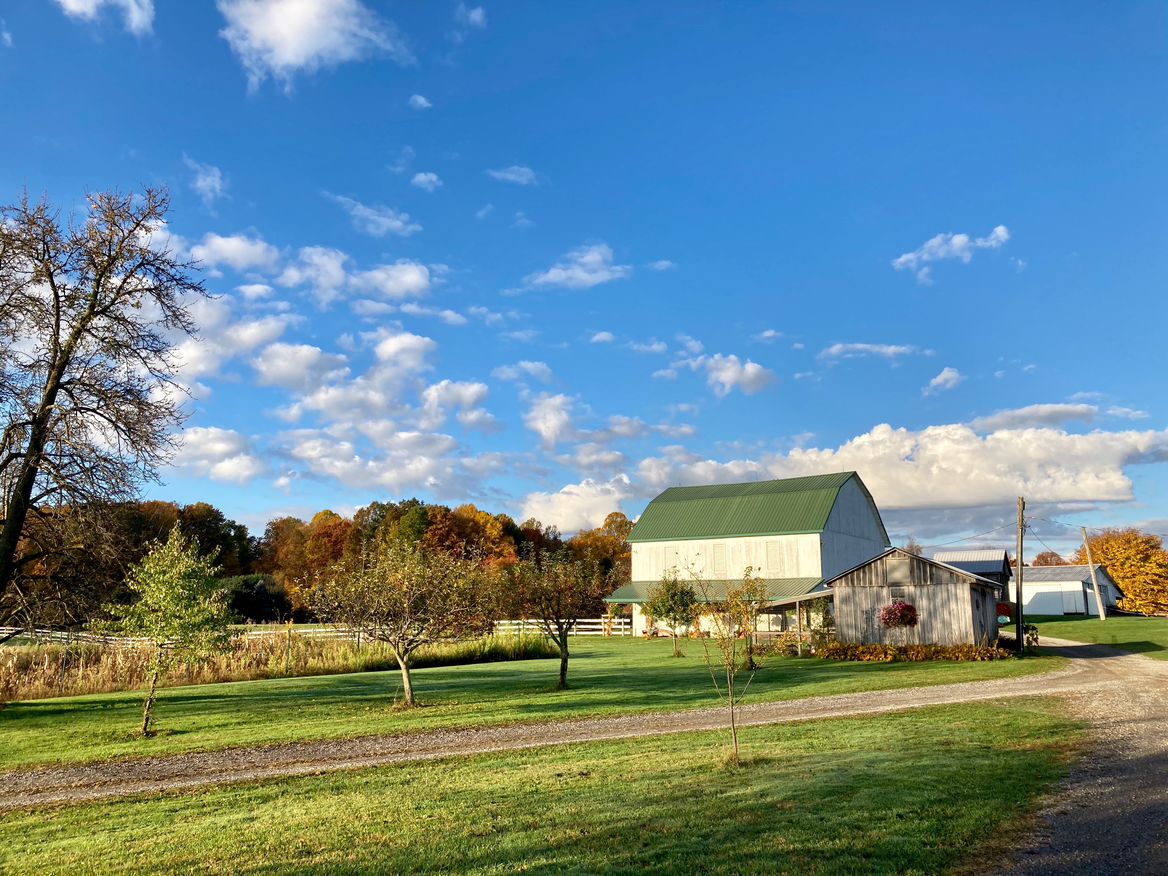  115-Acre Equestrian and Agritourism Estate in Grove City, Pennsylvania - 物件實景
