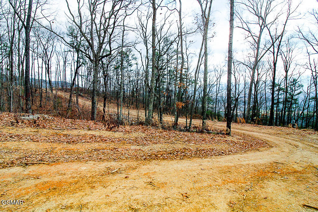 Sevierville, Tennessee, 37876, United States, ,Land,For Sale,2008093