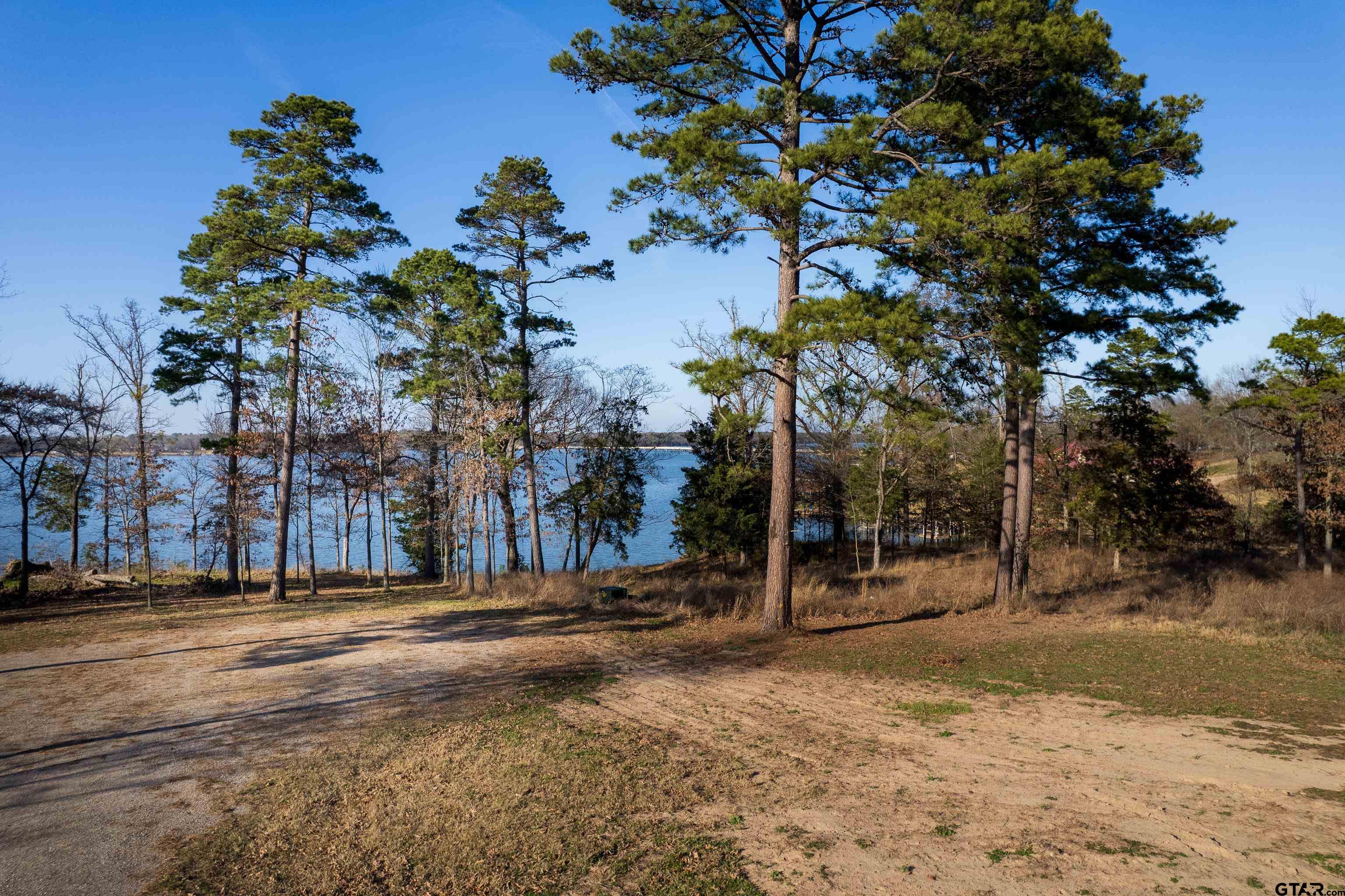 Pittsburg, Texas, 75686, United States, ,Land,For Sale,2022493