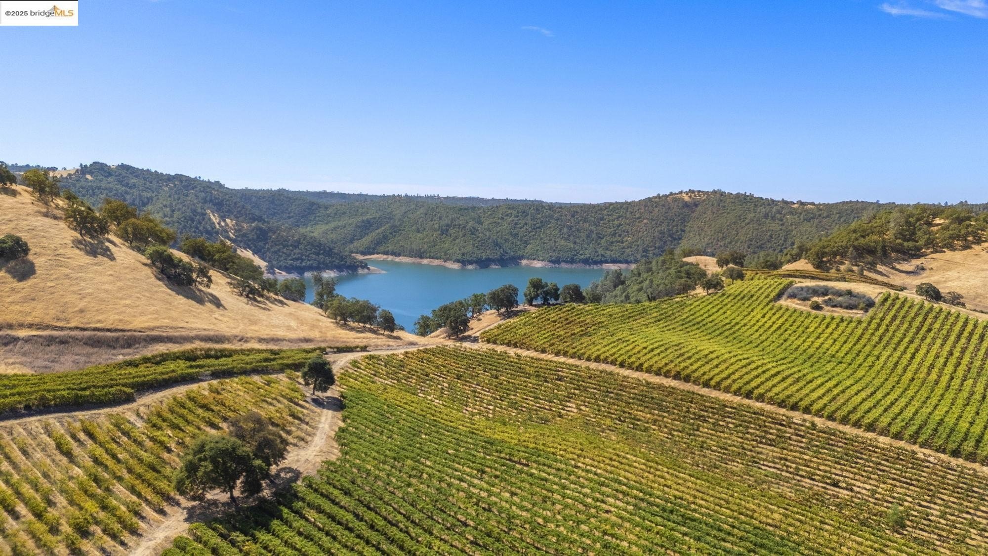 Murphys, California, 95247, United States, ,Land,For Sale,1975931