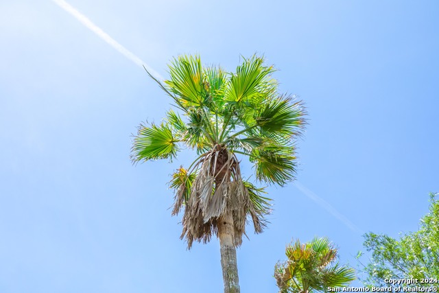 2618 N Armstrong Street, Kingsville, Texas, 78363, United States, 4 Bedrooms Bedrooms, ,5 BathroomsBathrooms,Residential,For Sale,2618 N Armstrong Street,1628223