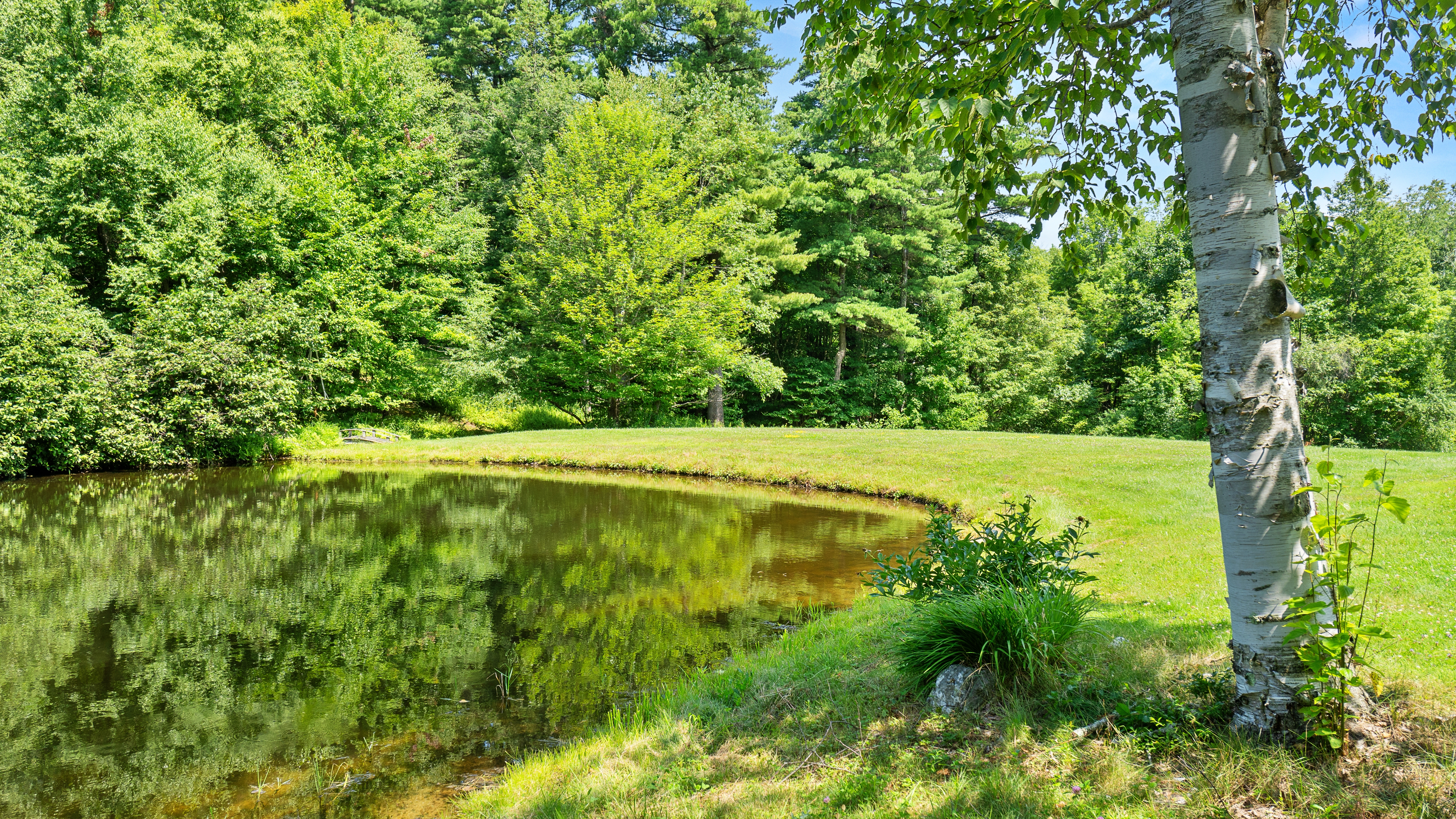  Hudson Valley/Berkshires Retreat: 8 Acres, Scenic Pond & Creative Studio - 物件實景