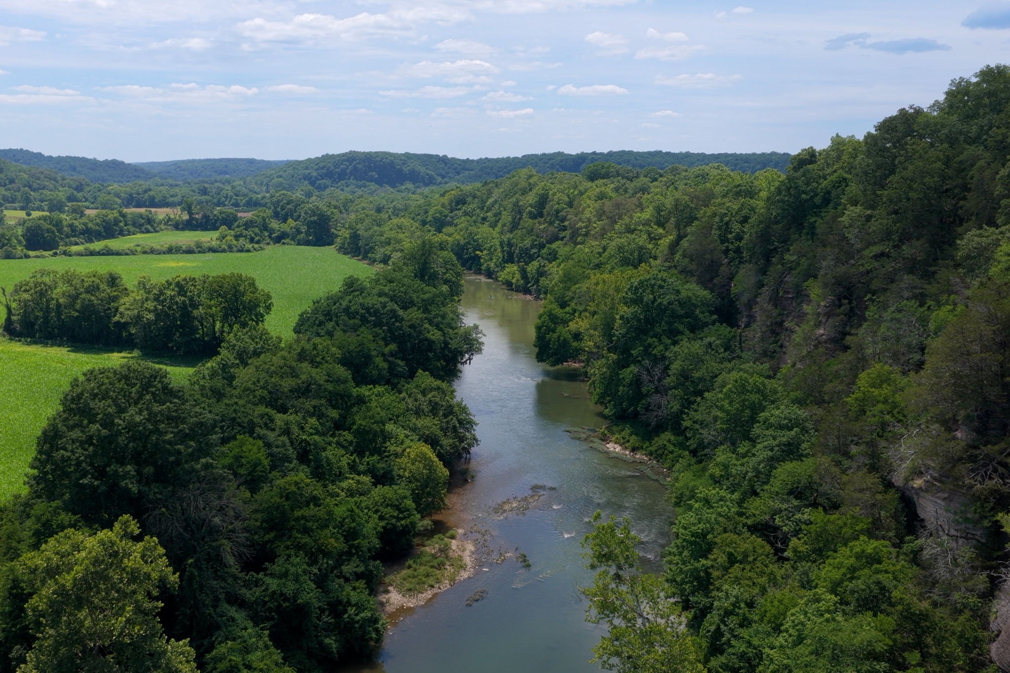 1003 Champion Hills Dr, Kingston Springs, TN, 37082 - 物件實景