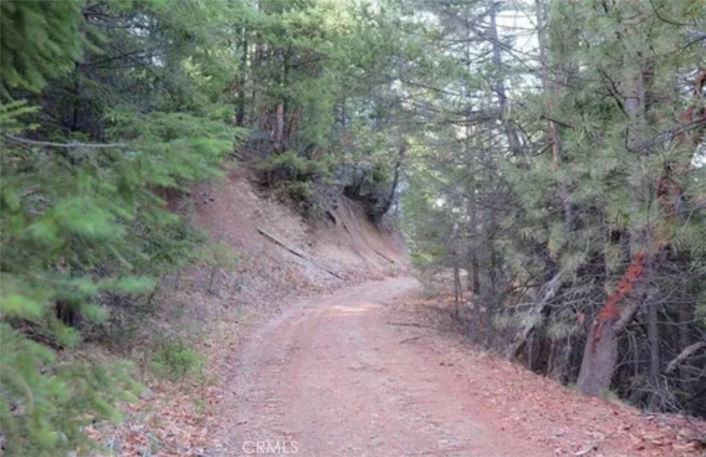 Covelo, California, 95428, United States, ,Residential,For Sale,1845669