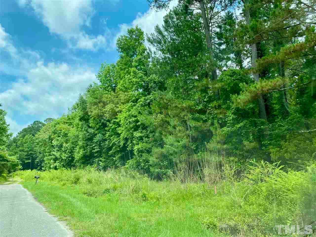 0 devils racetrack RD, Four Oaks, North Carolina, 27524, United States, ,Land,For Sale,0 devils racetrack RD,1432229