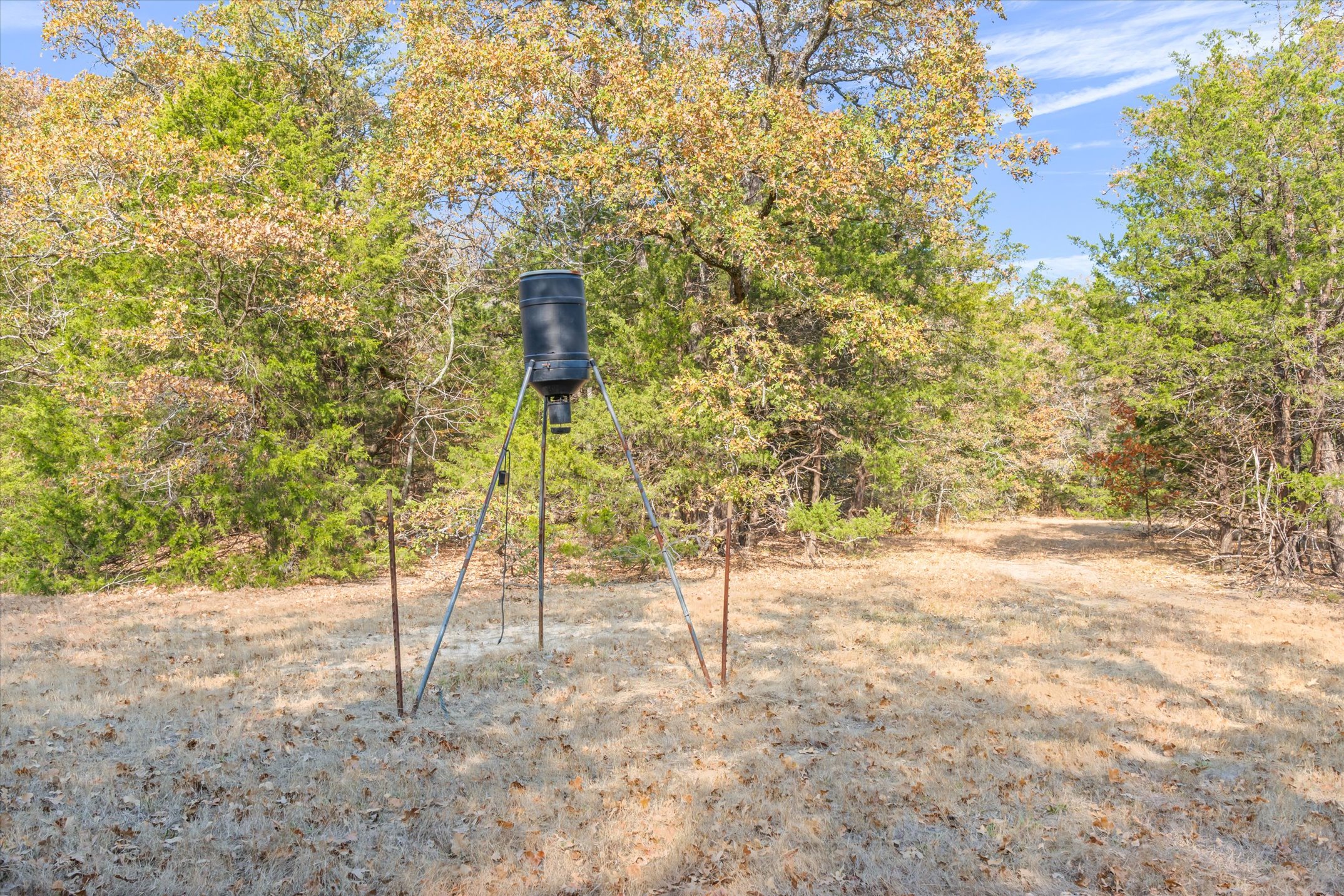 Wills Point, Texas, 75169, United States, 4 Bedrooms Bedrooms, ,4 BathroomsBathrooms,Residential,For Sale,1996475