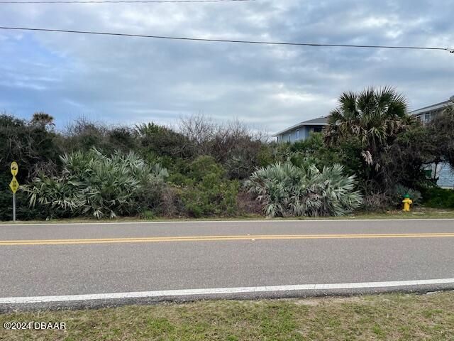 Ponce Inlet, Florida, 32127, United States, ,Land,For Sale,2005853