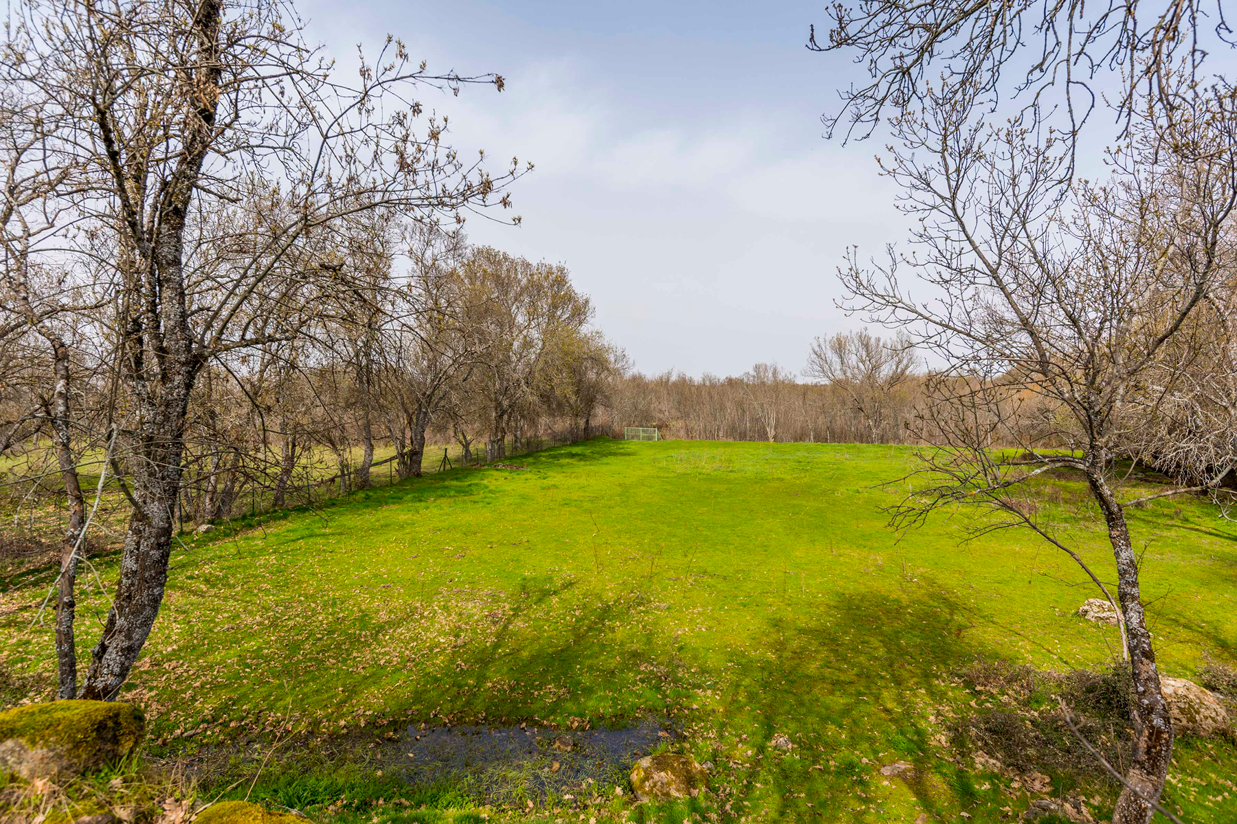  Spectacular estate for promotion in Sotosalbos, Segovia - 物件實景