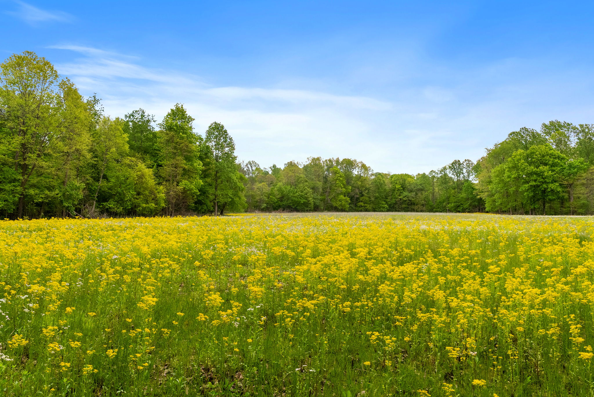 Rosedale, Indiana, 47874, United States, ,Land,For Sale,2049036
