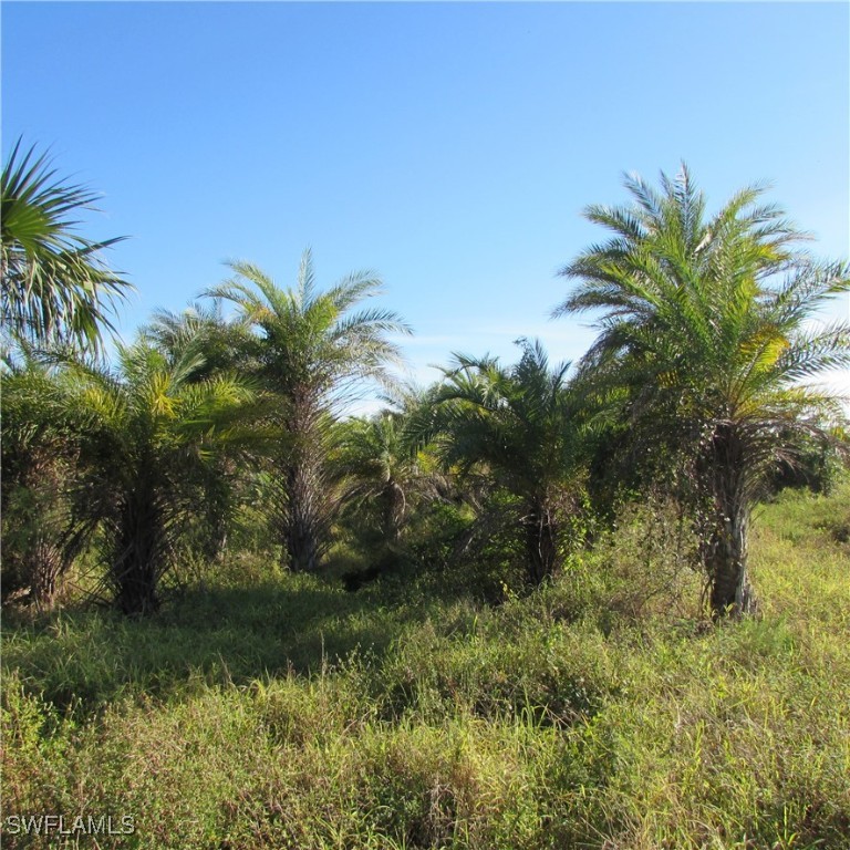 St. James City, Florida, 33956, United States, ,Residential,For Sale,1852355