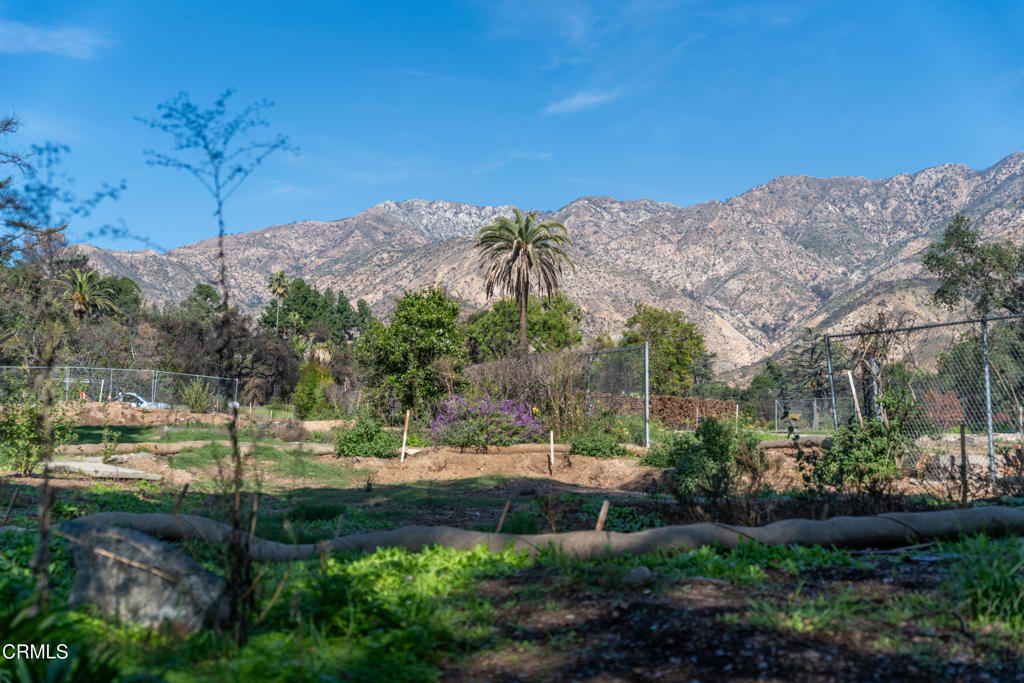 Altadena, California, 91001, United States, ,Land,For Sale,2000567
