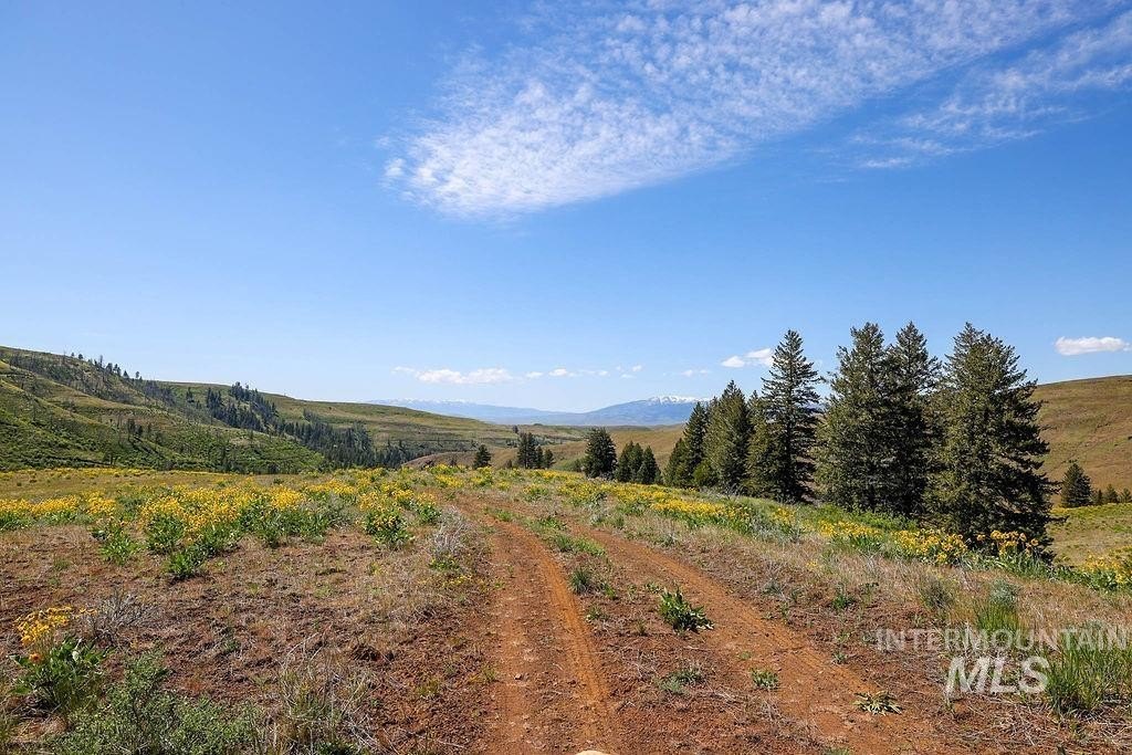 Council, Idaho, 83612, United States, ,Residential,For Sale,1862004