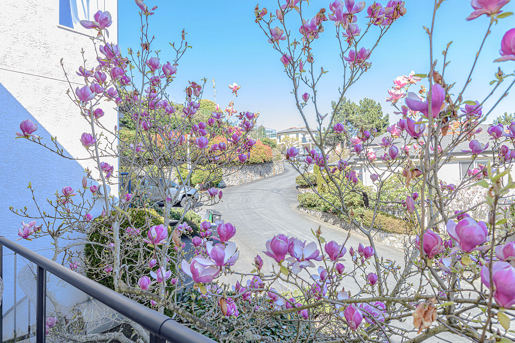  Bright Open Townhome - 物件實景