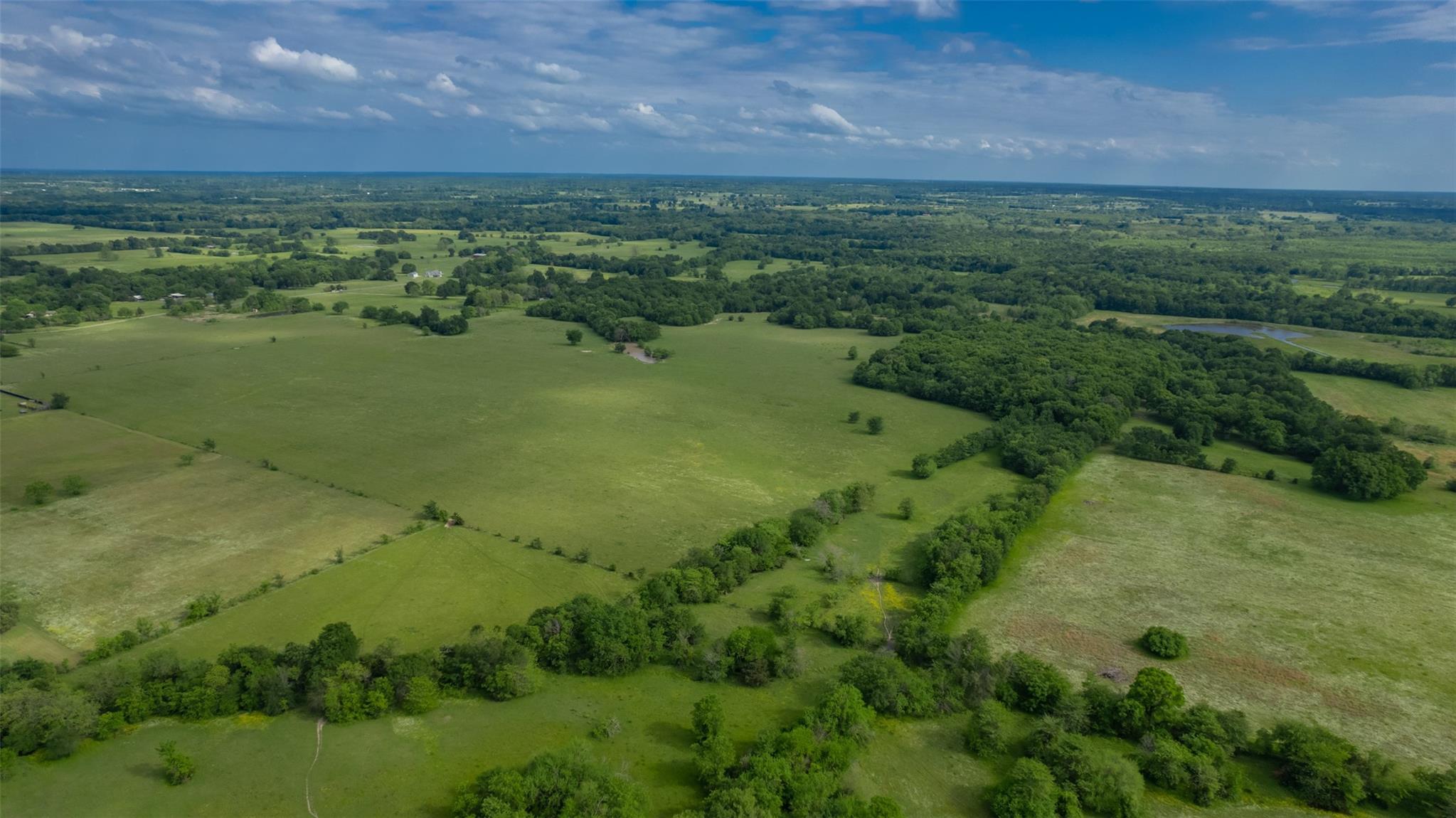 Commerce, Texas, 75428, United States, ,Residential,For Sale,1810631