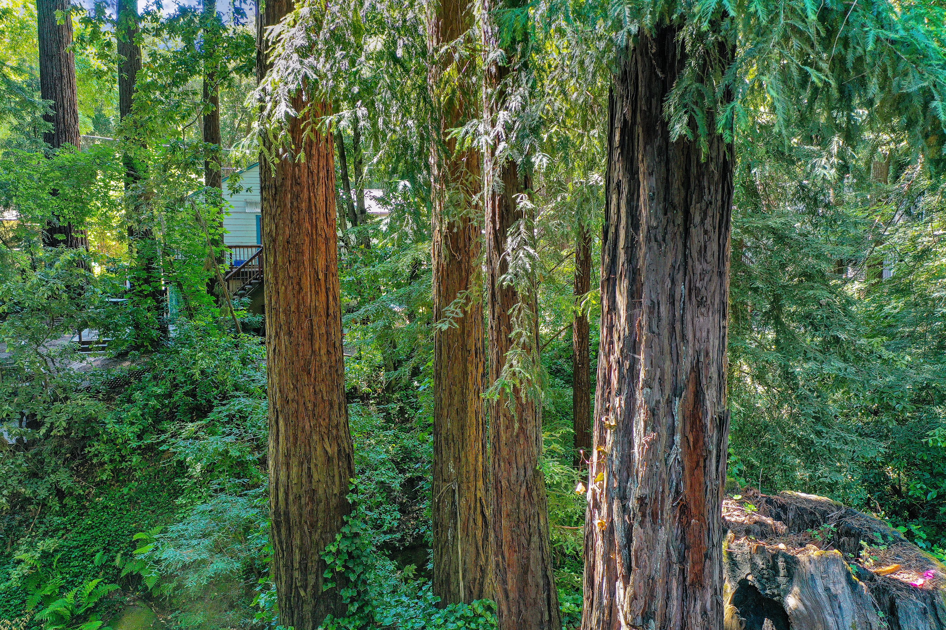  255 Brookside Drive - 物件實景