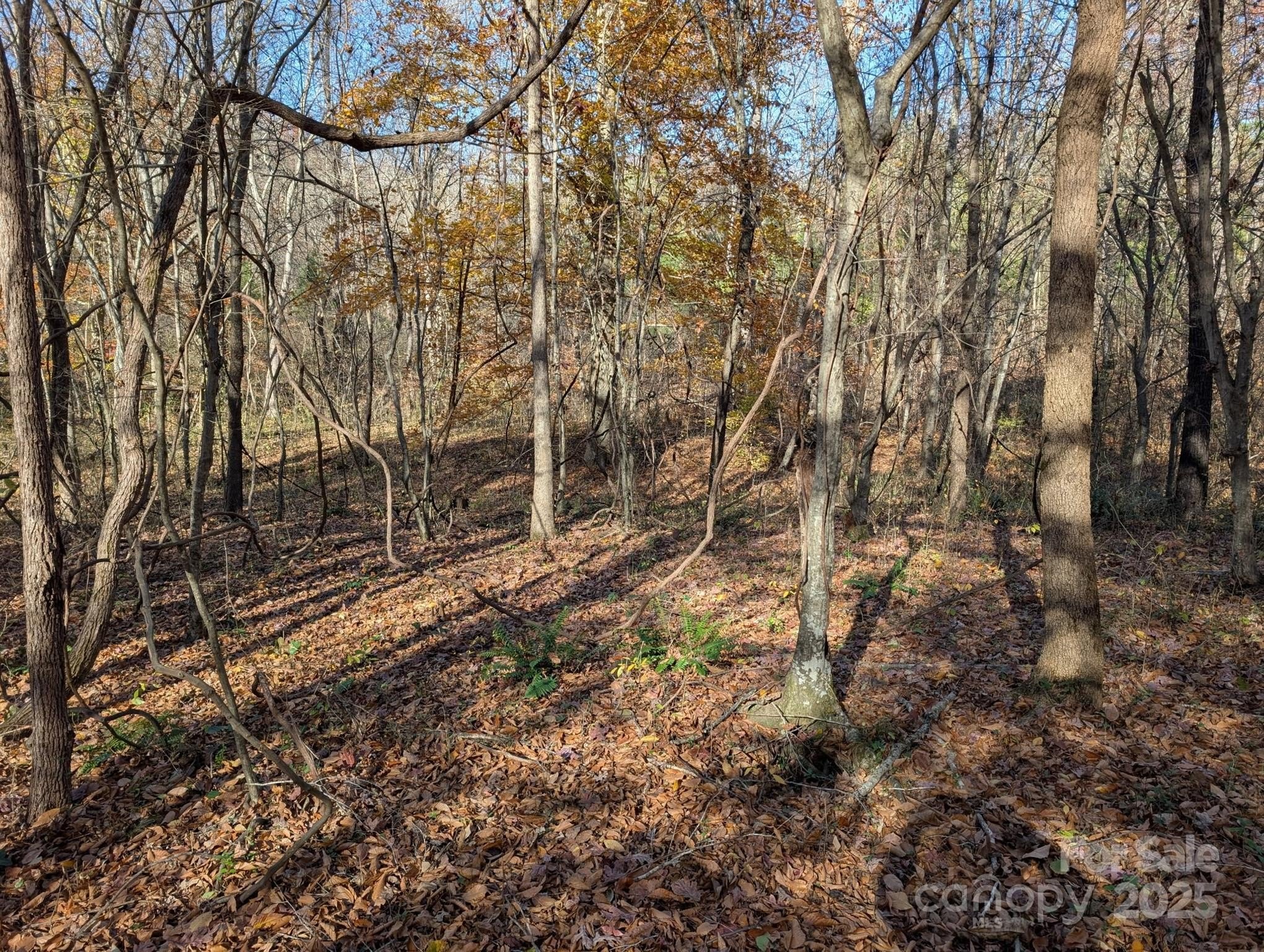 Salisbury, North Carolina, 28147, United States, ,Land,For Sale,1996519
