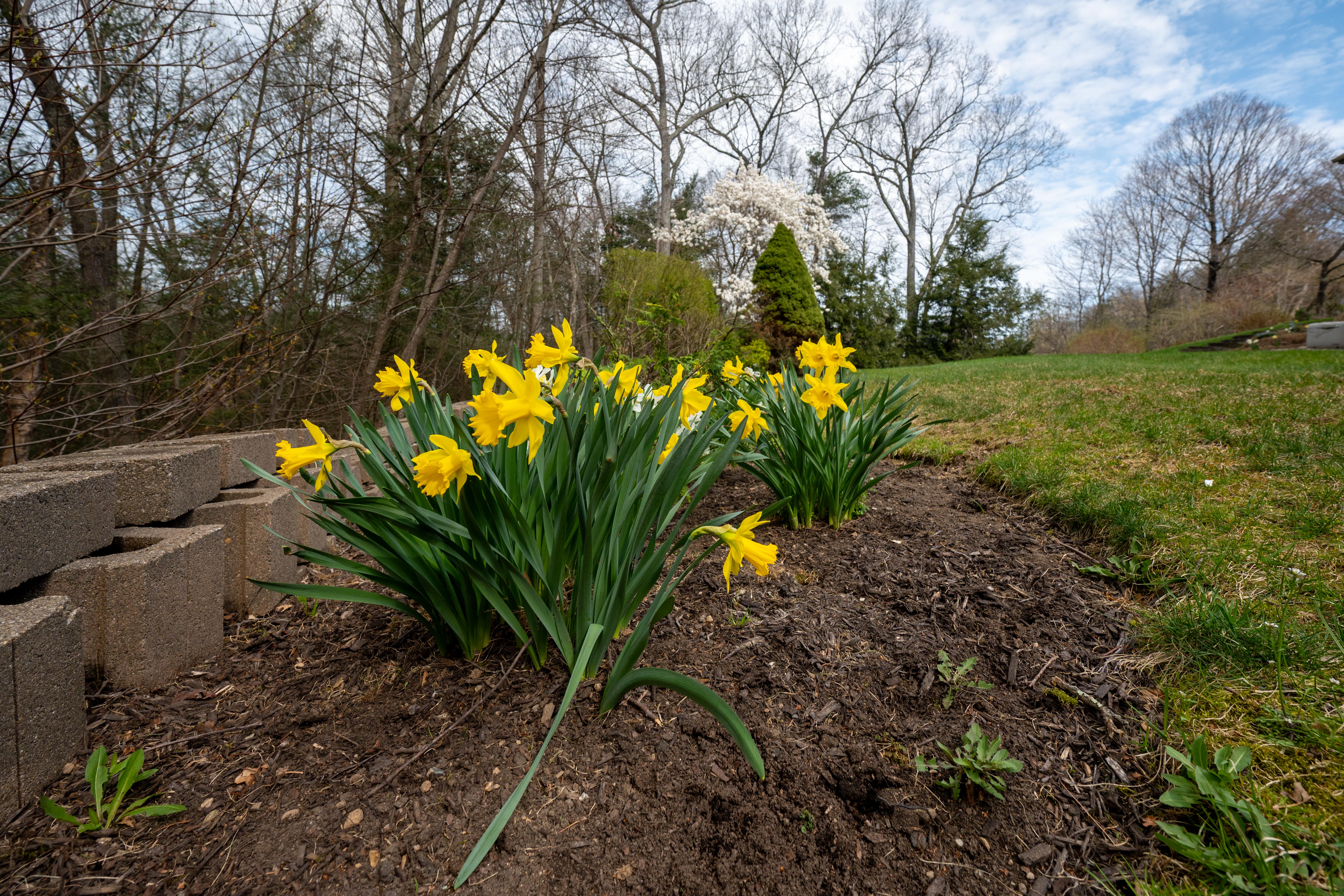  Majestic Custom Colonial - 物件實景