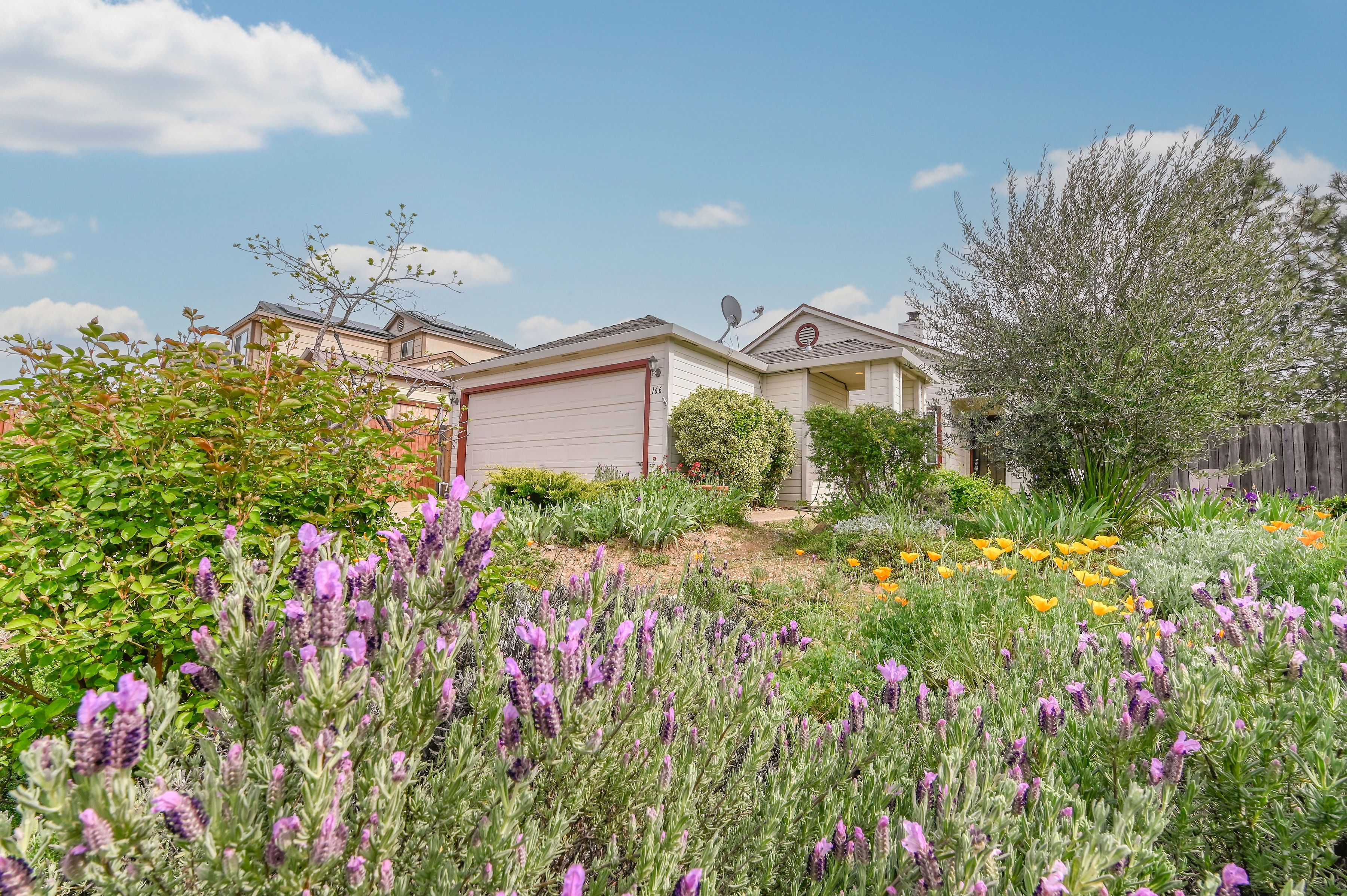  166 Placer Drive, Jackson, CA 95642 - 物件實景