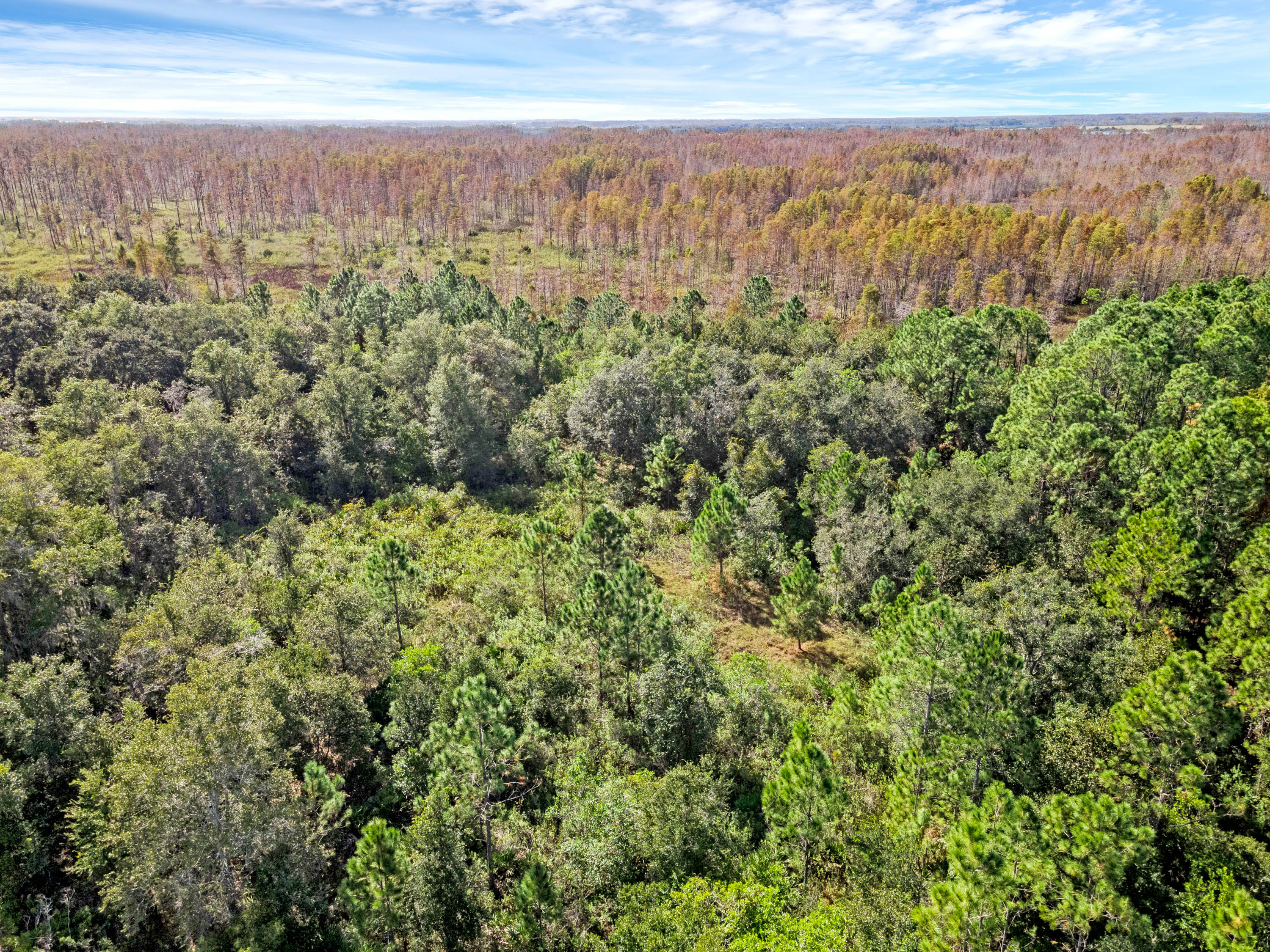 Diamond Acres Rd, Davenport, Florida, 33837, United States, ,Residential,For Sale,Diamond Acres Rd,1405228