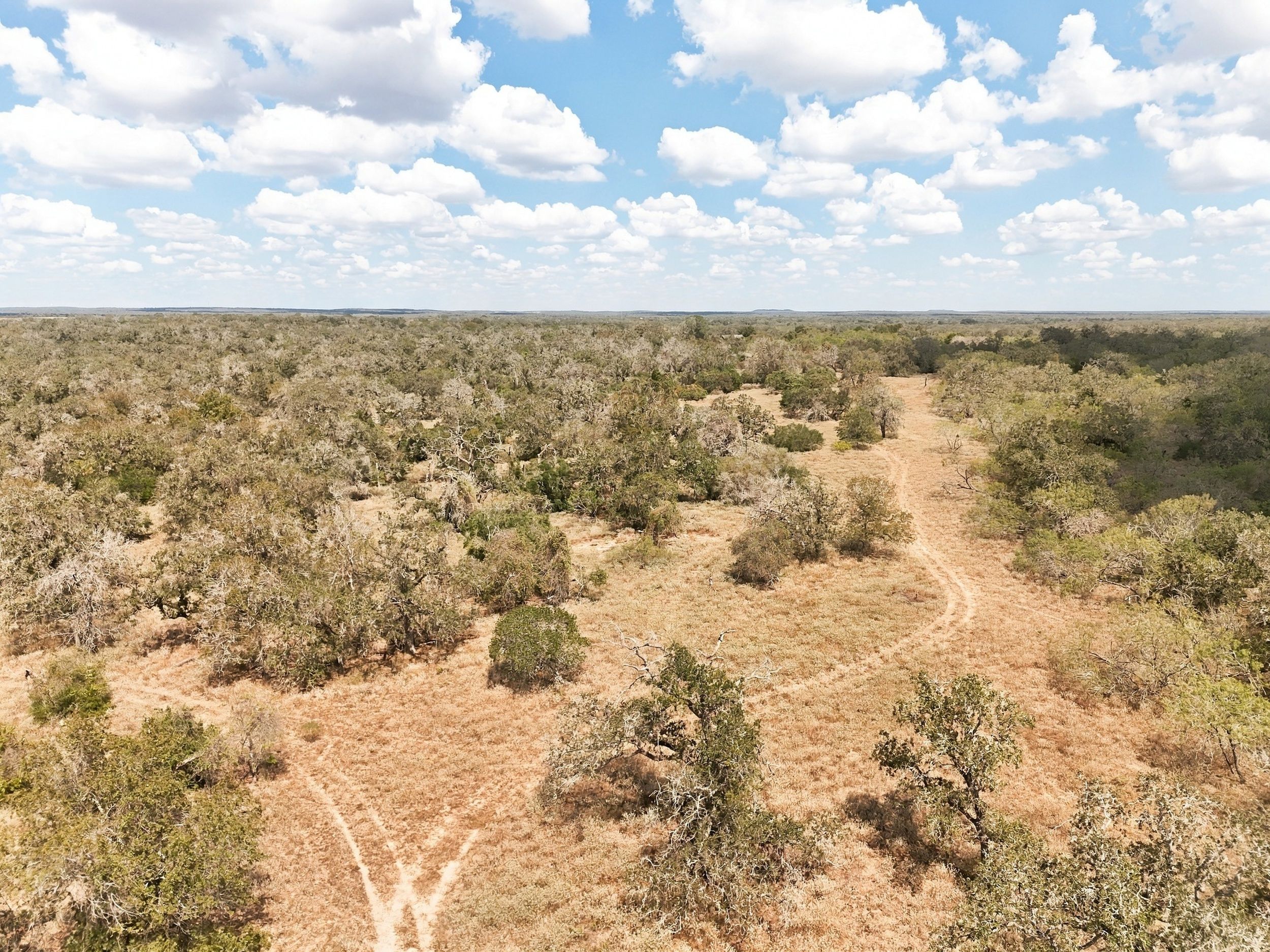  186+/- Acre Post Oak Hill Ranch - 物件實景