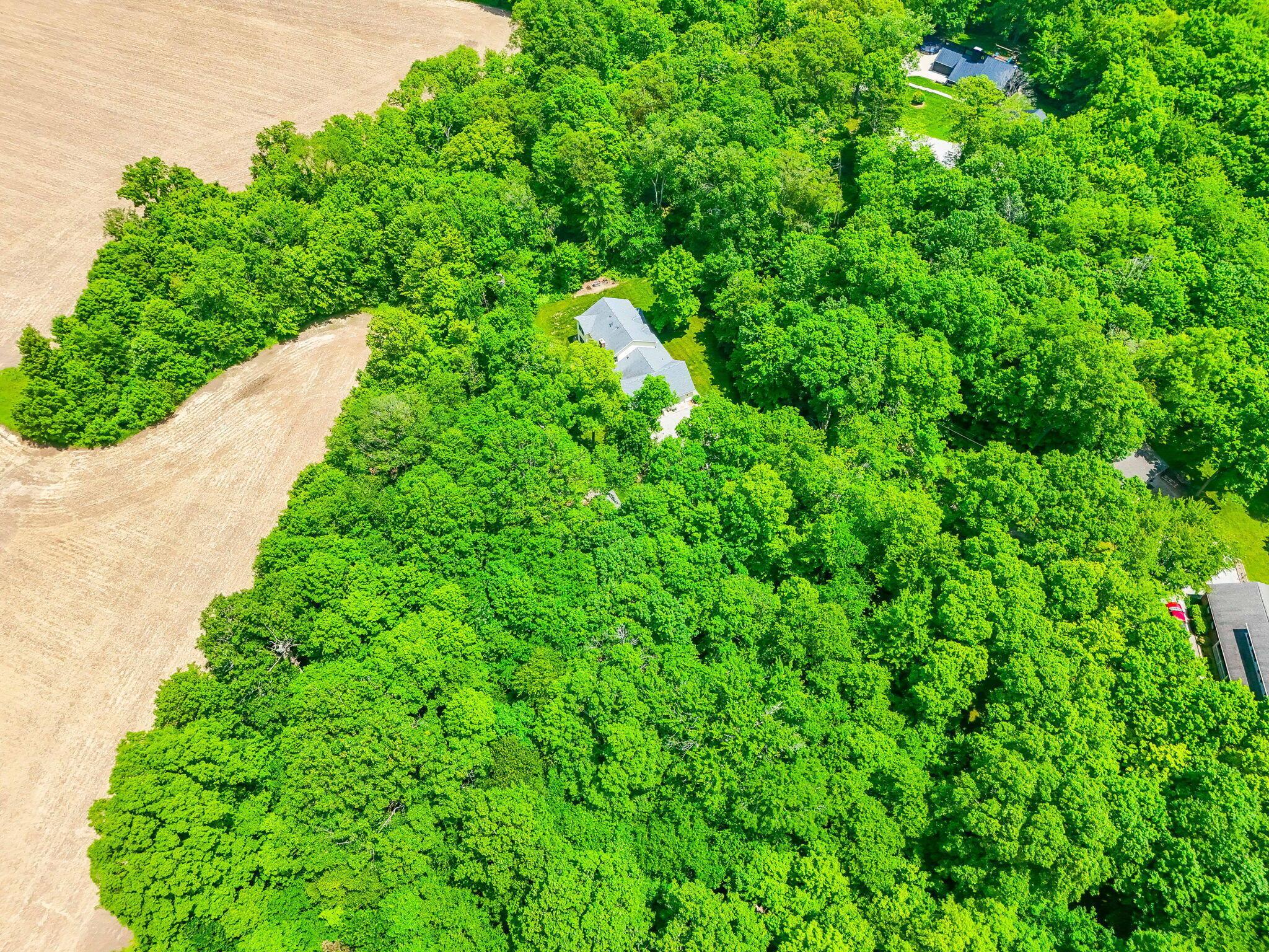 Marion, Ohio, 43302, United States, 5 Bedrooms Bedrooms, ,4 BathroomsBathrooms,Residential,For Sale,1995862