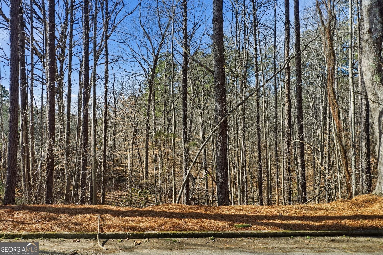 Canton, Georgia, 30114, United States, ,Land,For Sale,2013607