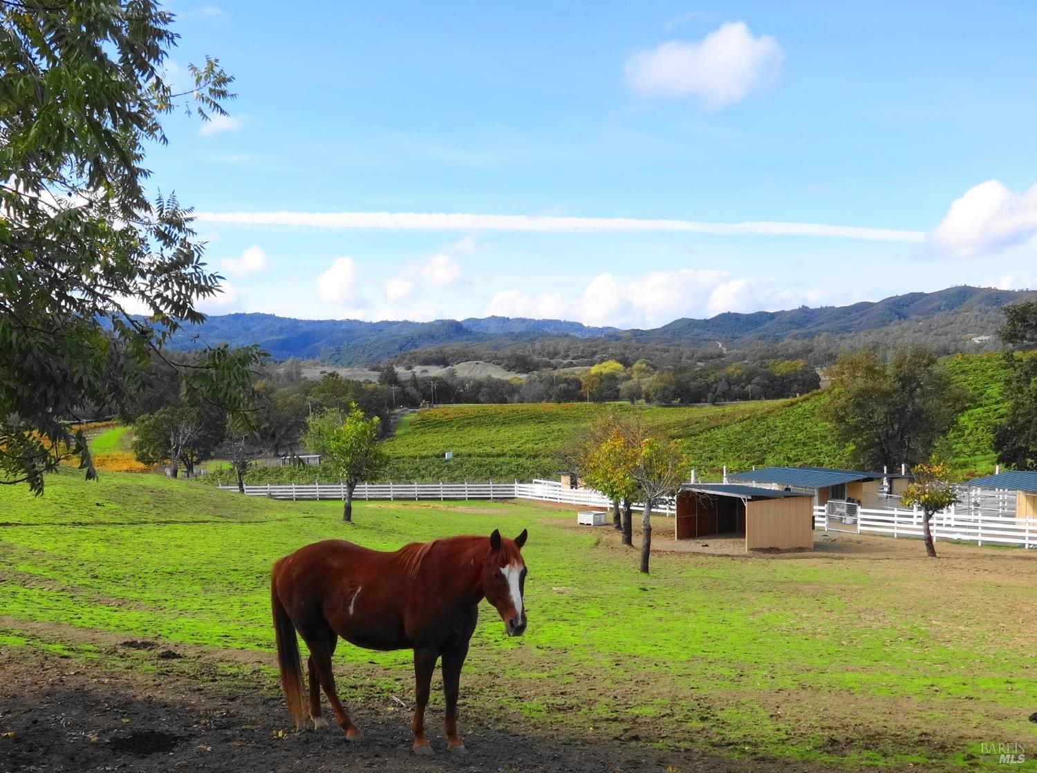 Kelseyville, California, 95451, United States, 3 Bedrooms Bedrooms, ,2 BathroomsBathrooms,Residential,For Sale,1974568