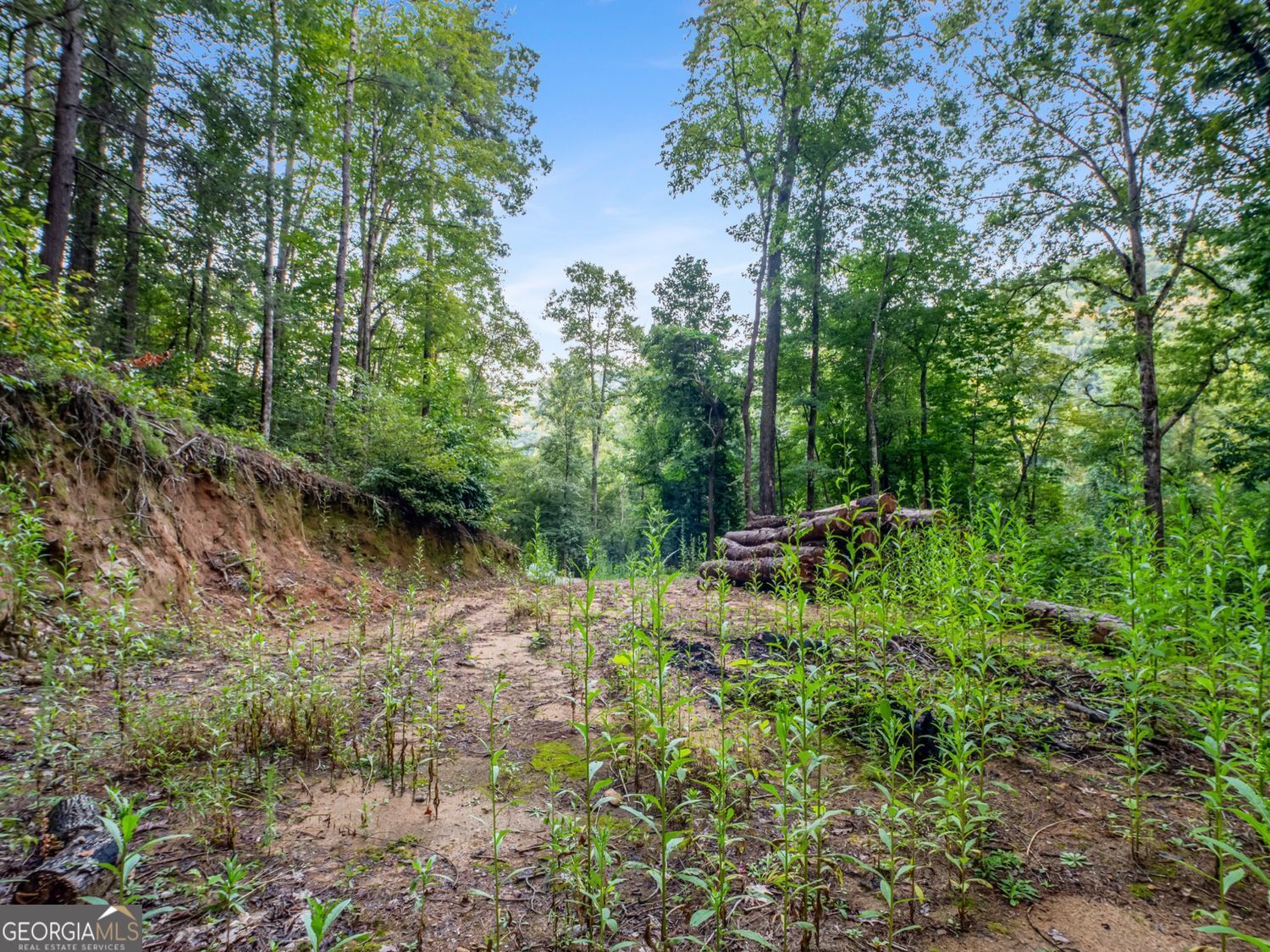 Clayton, Georgia, 30525, United States, ,Land,For Sale,1952018