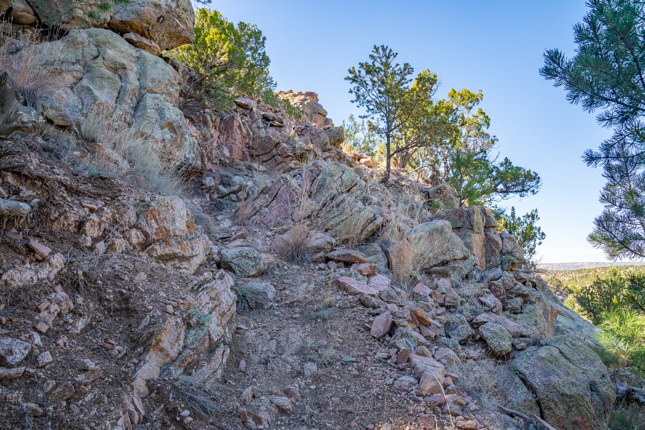  5.9 Acre Lot Camino Del Canon - 物件實景