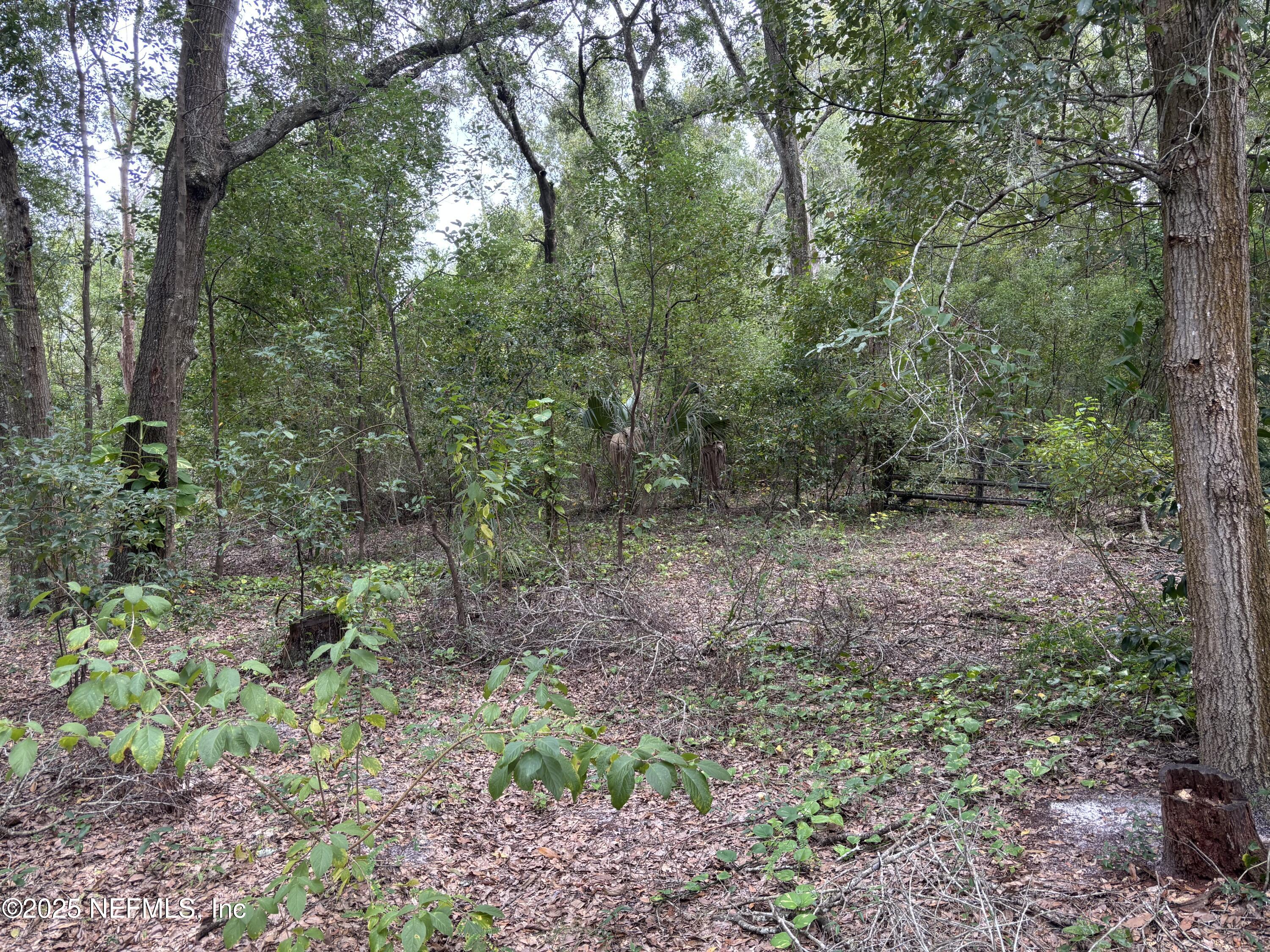 Apopka, Florida, 32712, United States, ,Land,For Sale,2003118