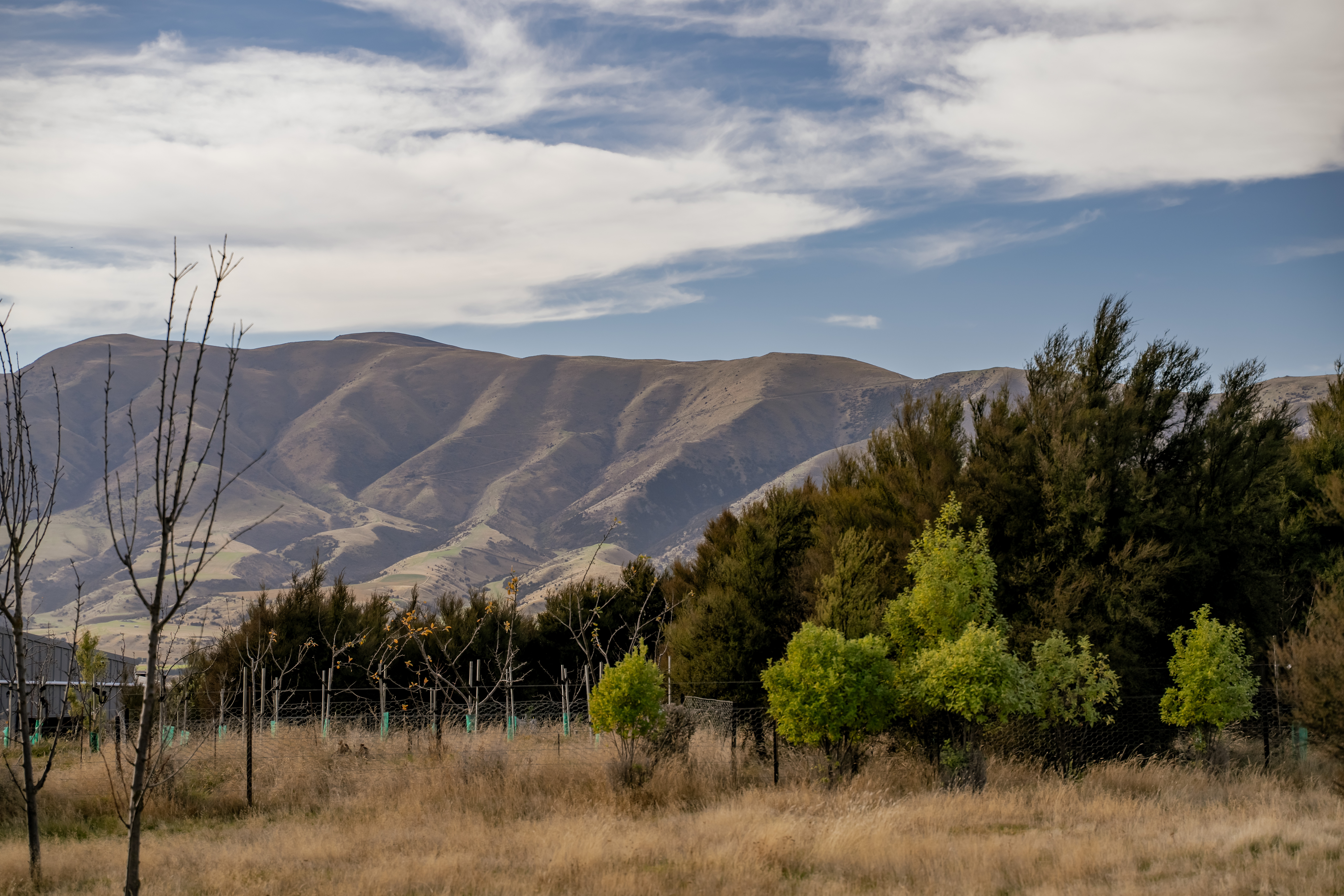  Paradise Found - 物件實景