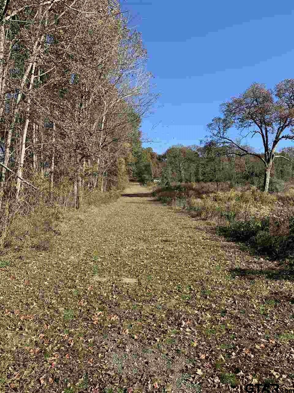 TBD CR 463 & I20, Lindale, Texas, 75771, United States, ,Land,For Sale,TBD CR 463 & I20,1673593