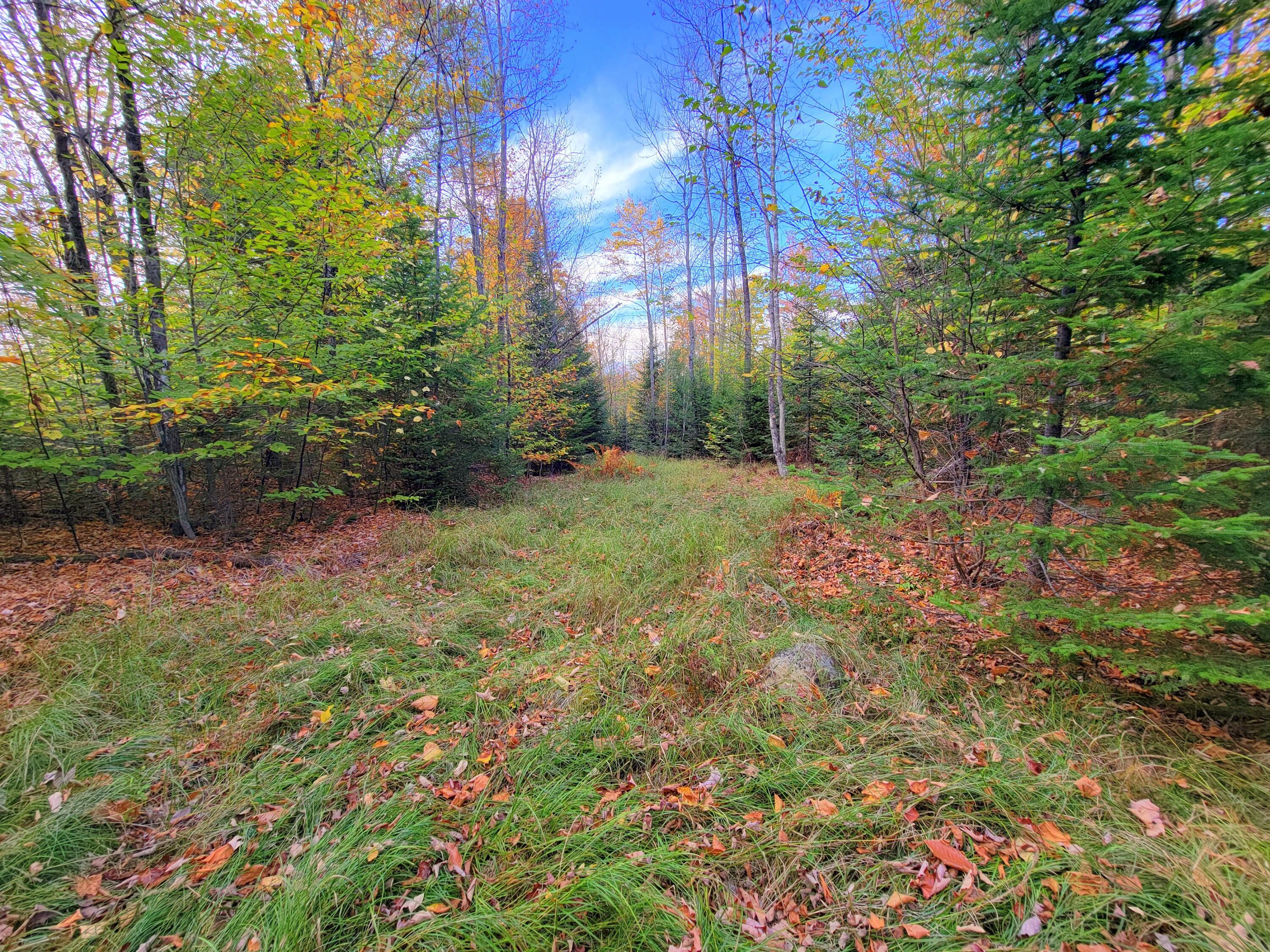 Farmington, Maine, 04938, United States, 5 Bedrooms Bedrooms, ,3 BathroomsBathrooms,Residential,For Sale,1960728