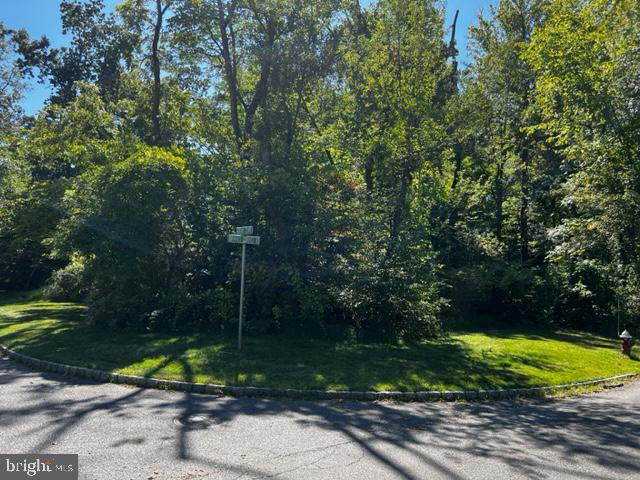 Princeton, New Jersey, 08540, United States, ,Land,For Sale,1990465