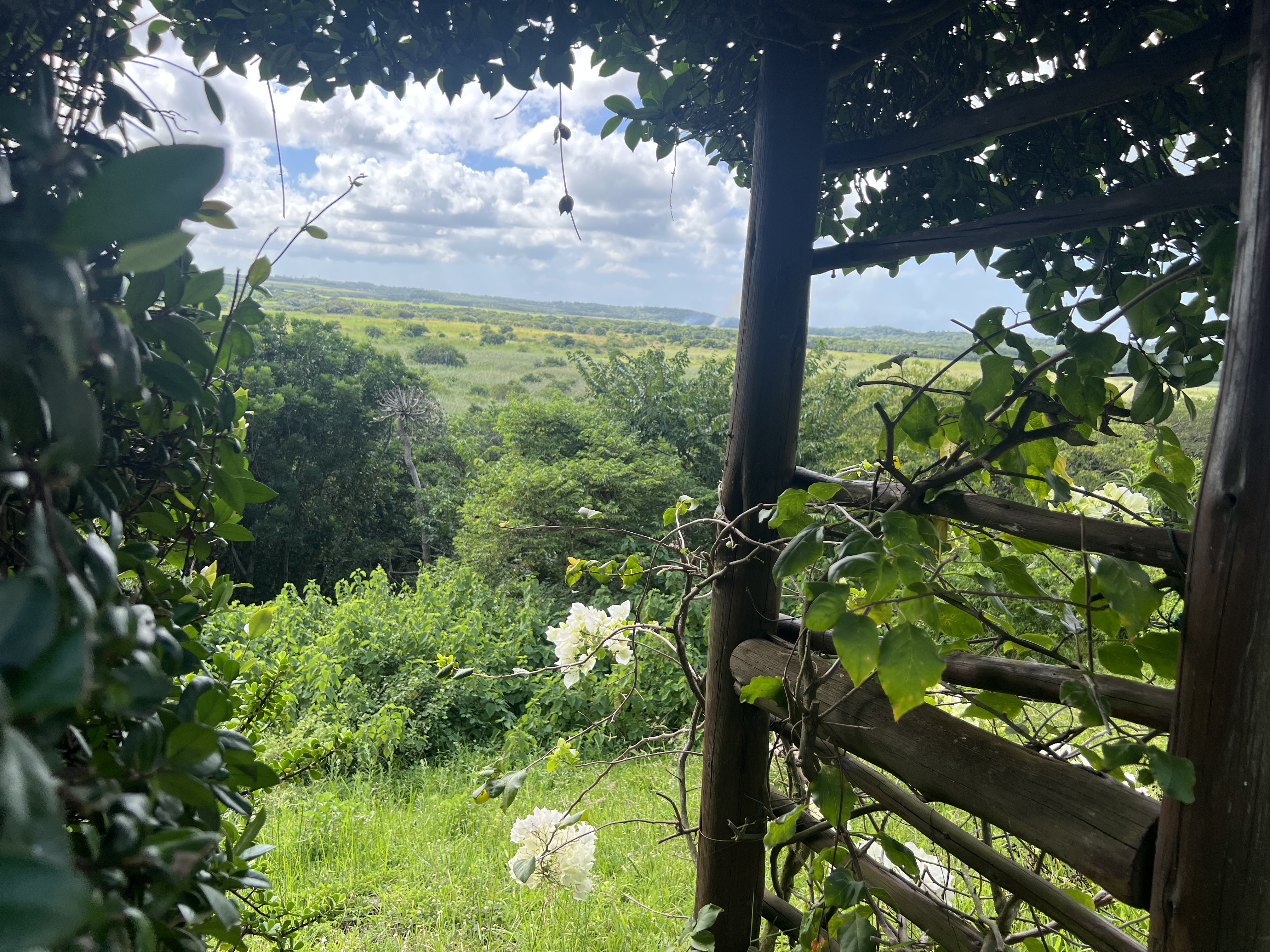  Meticulously maintained home with thoughtfully curated living spaces - 物件實景