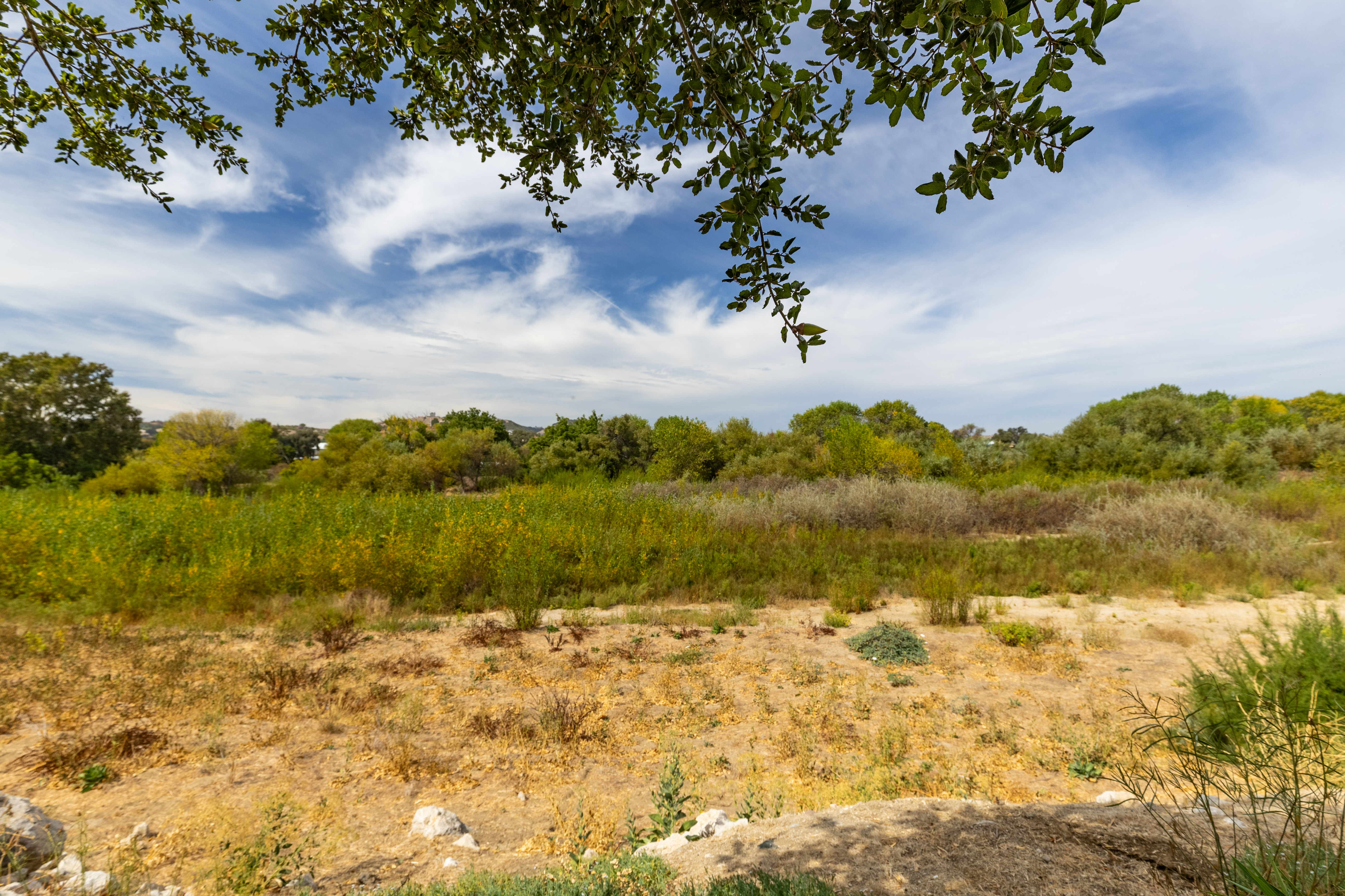  A Spacious Retreat Along the Salinas River - 物件實景