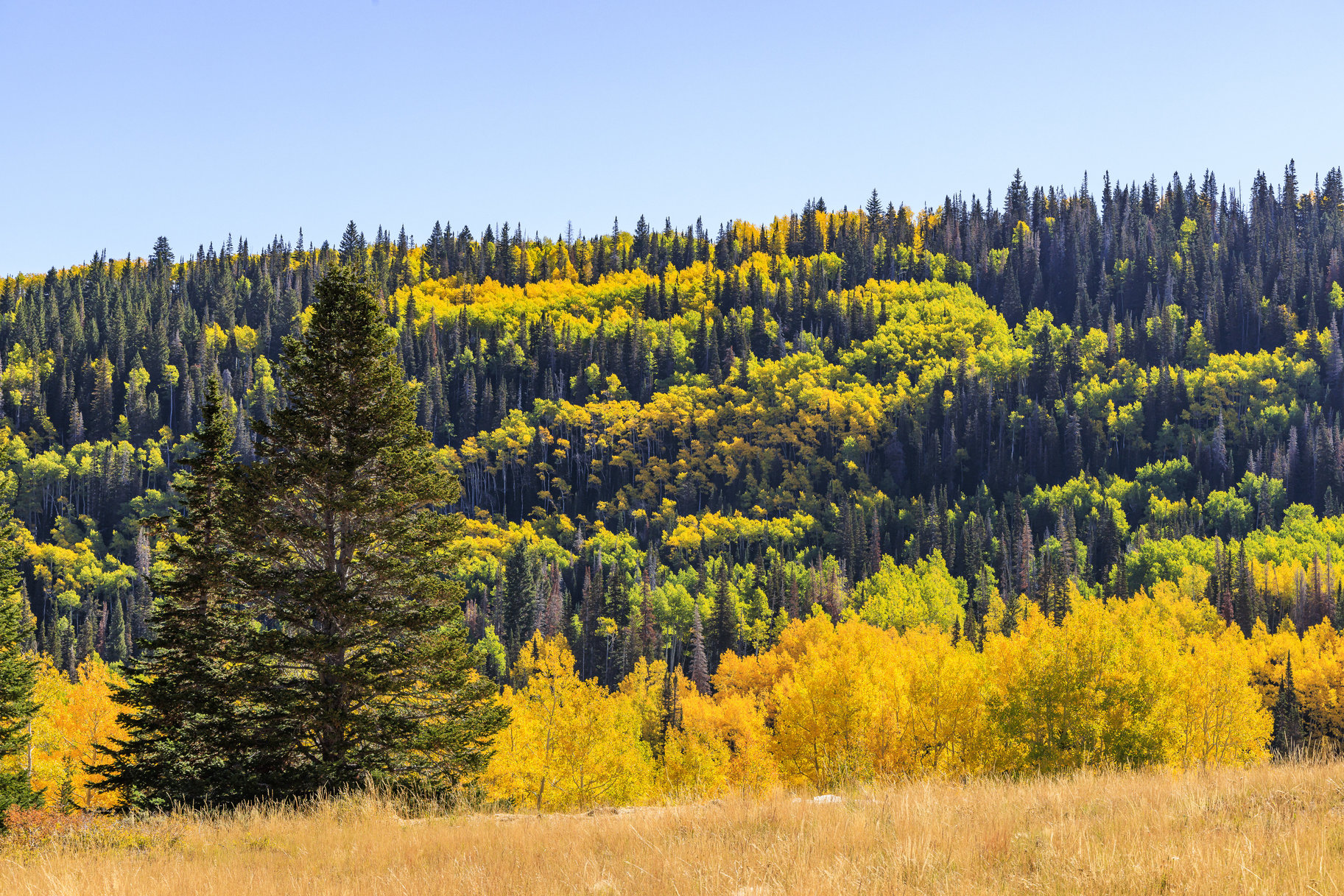  Incredible 28 Acre Estate Lot in the Colony at White Pine Canyon - 物件實景