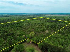 Naples, Texas, 75568, United States, ,Land,For Sale,1786234
